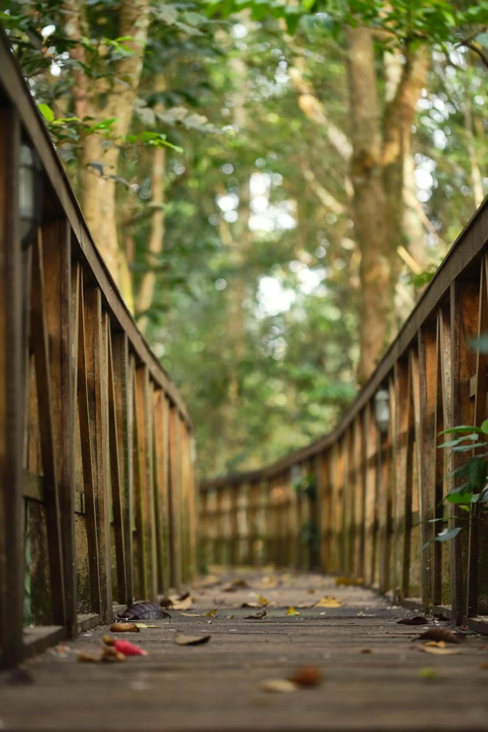 Property building in Reen Resorts Aanavilasam Plantation Thekkady