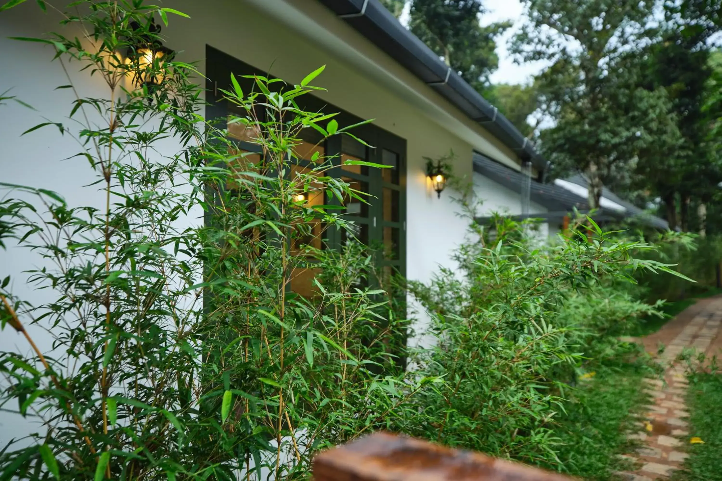 View (from property/room) in Reen Resorts Aanavilasam Plantation Thekkady View (from property/room) in Reen Resorts Aanavilasam Plantation Thekkady