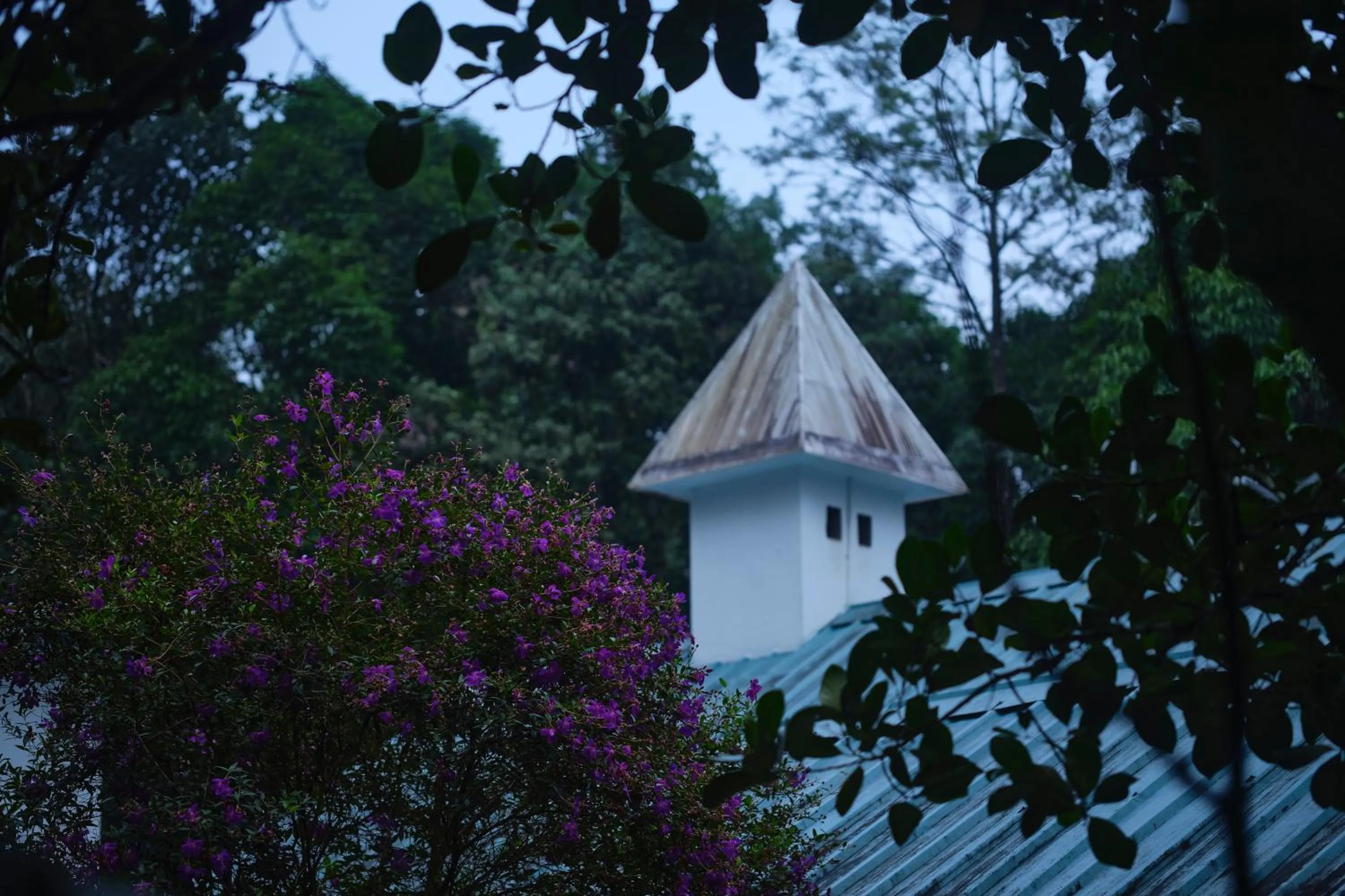 Property building in Reen Resorts Aanavilasam Plantation Thekkady