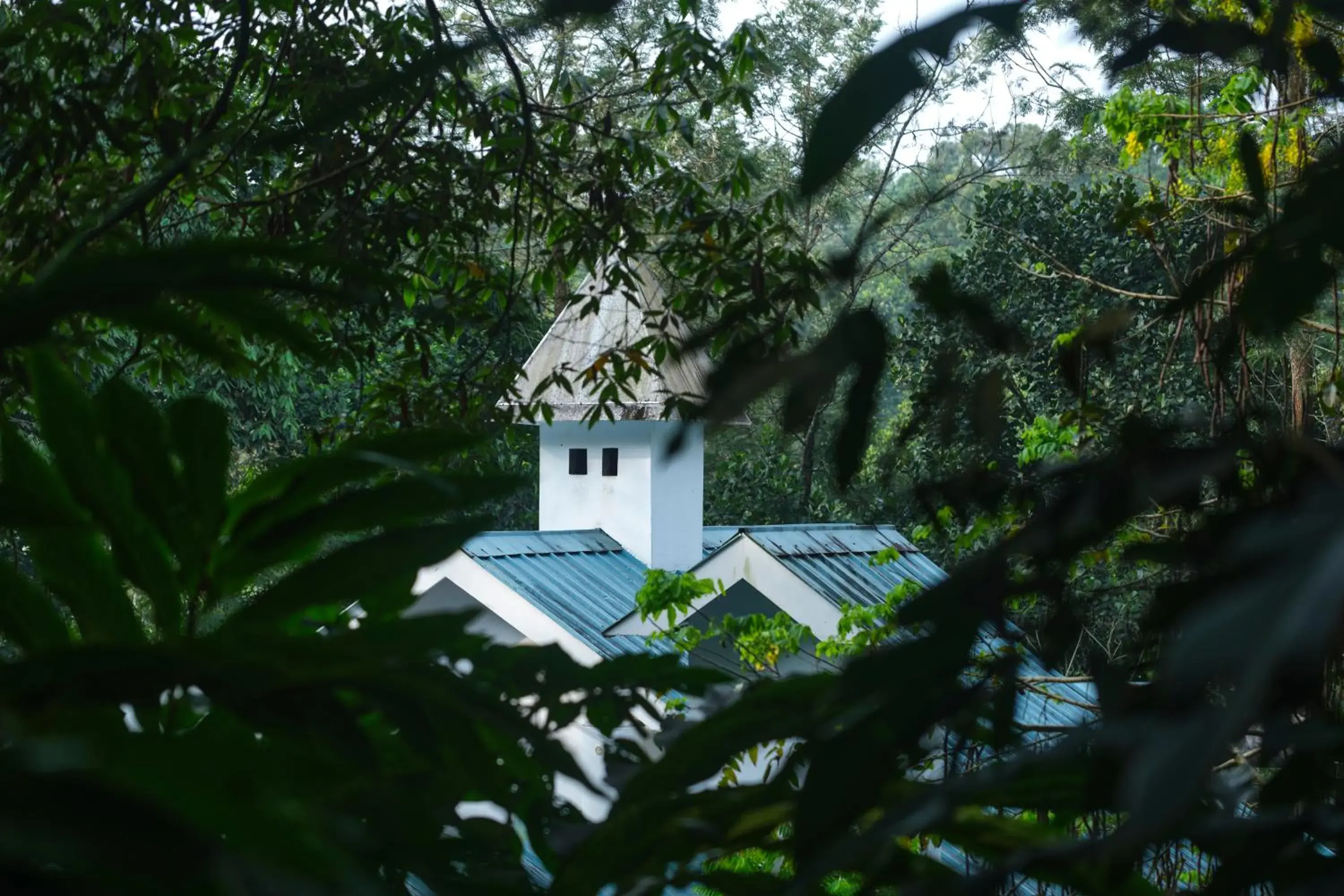 Property building in Reen Resorts Aanavilasam Plantation Thekkady Property building in Reen Resorts Aanavilasam Plantation Thekkady