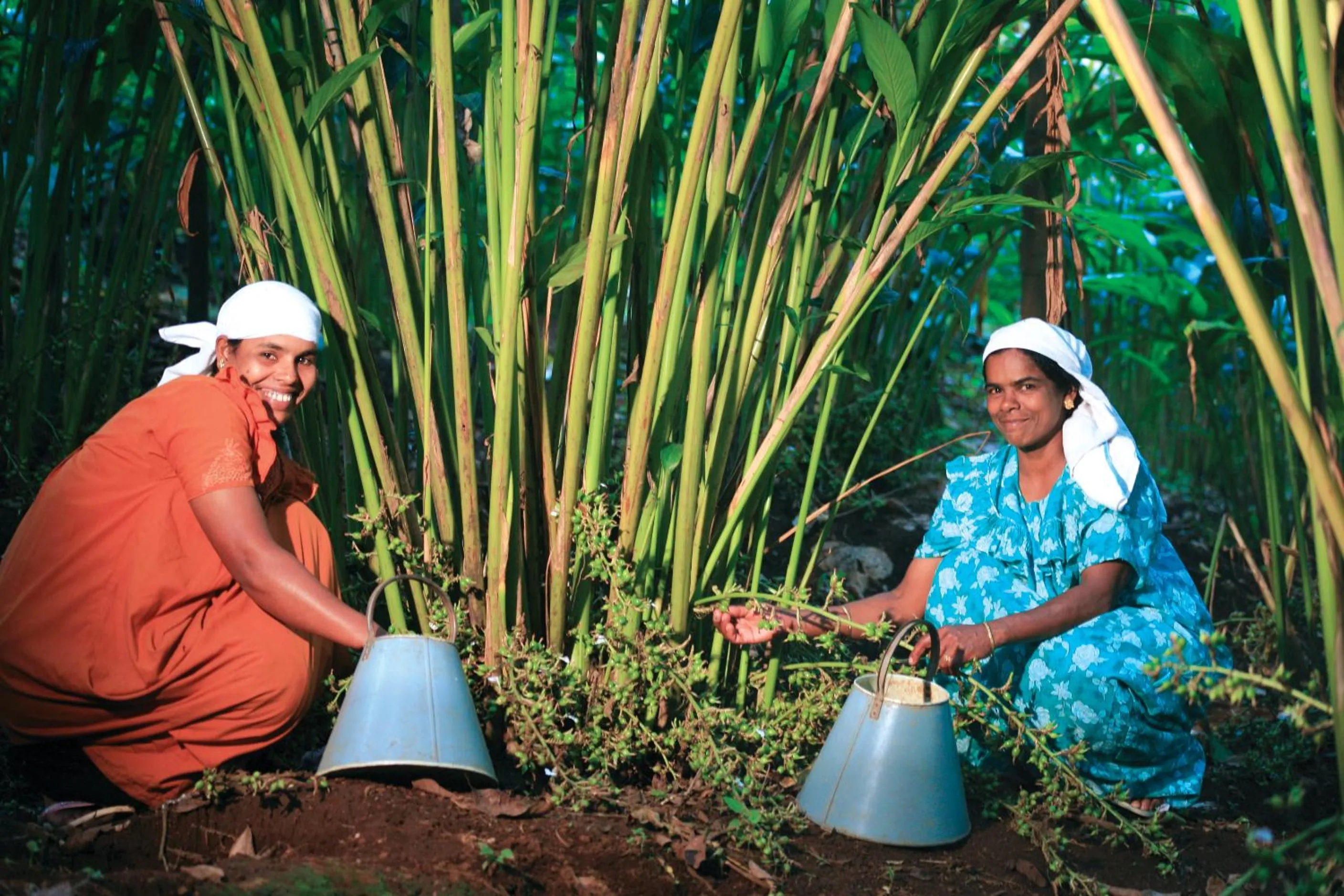 Natural landscape in Reen Resorts Aanavilasam Plantation Thekkady