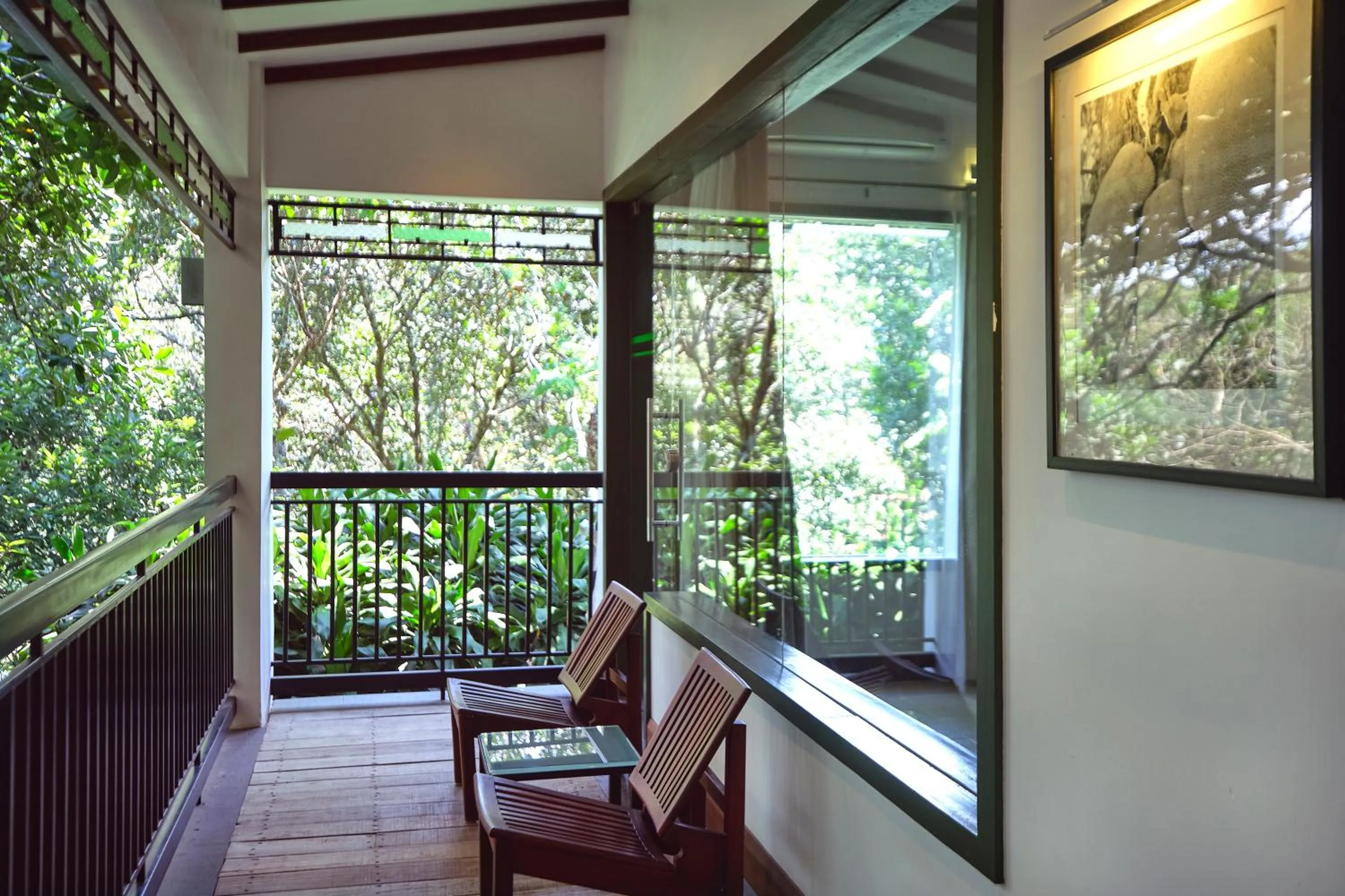 Natural landscape in Reen Resorts Aanavilasam Plantation Thekkady