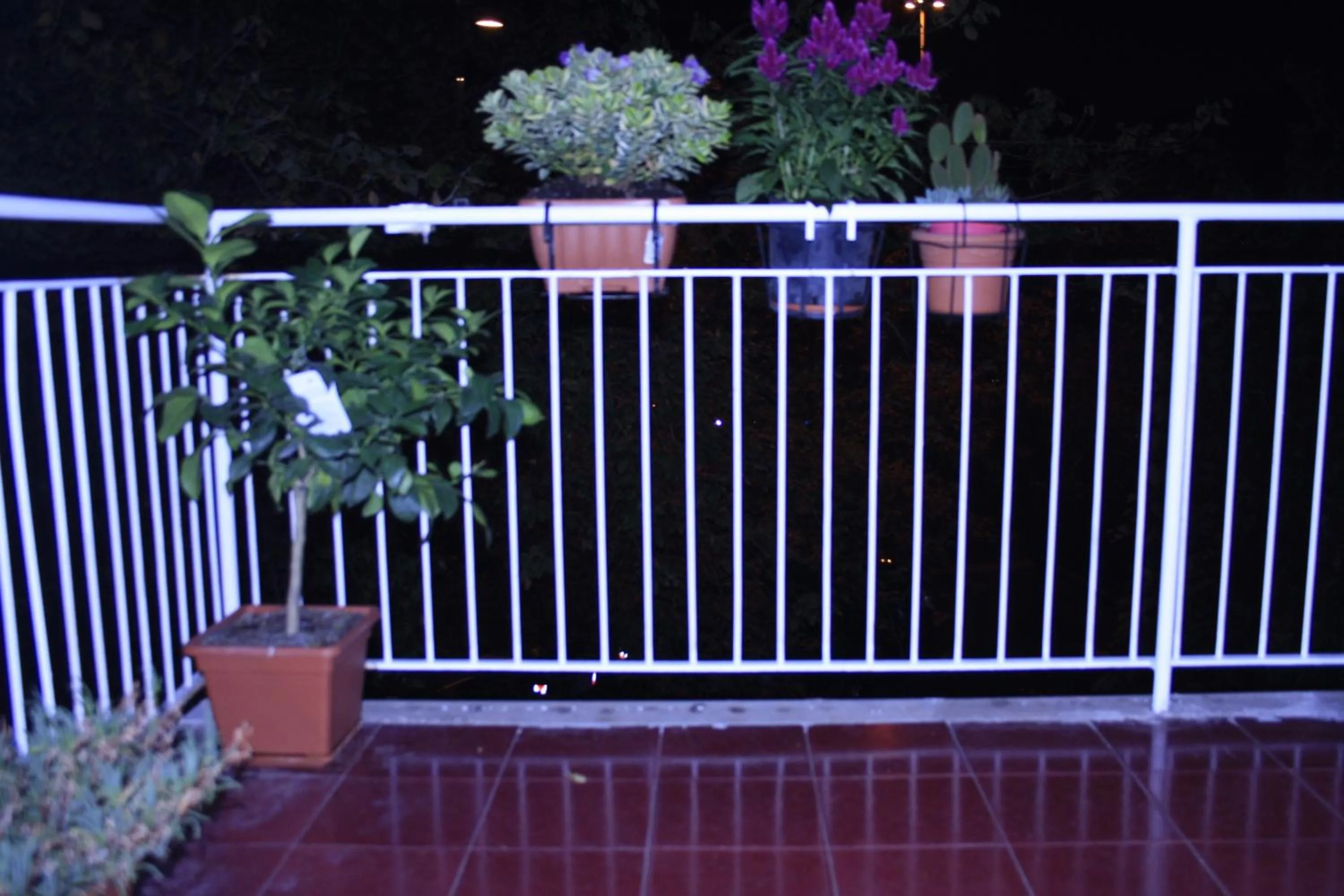 Balcony/Terrace in Le Tre Sorelle B&b Garbatella