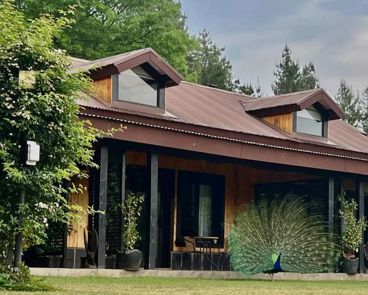 Property building in Malachite Manor