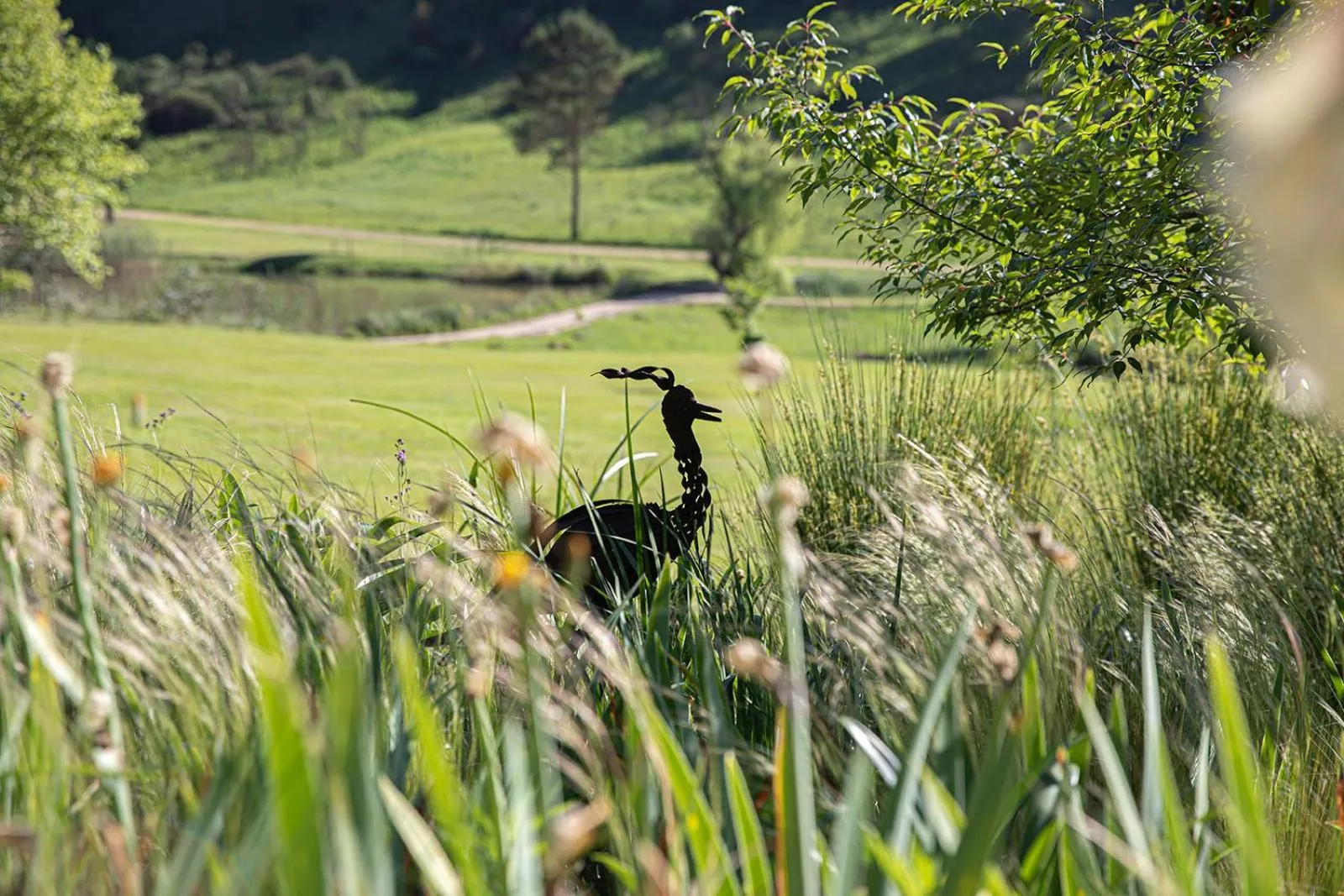 Garden in Malachite Manor