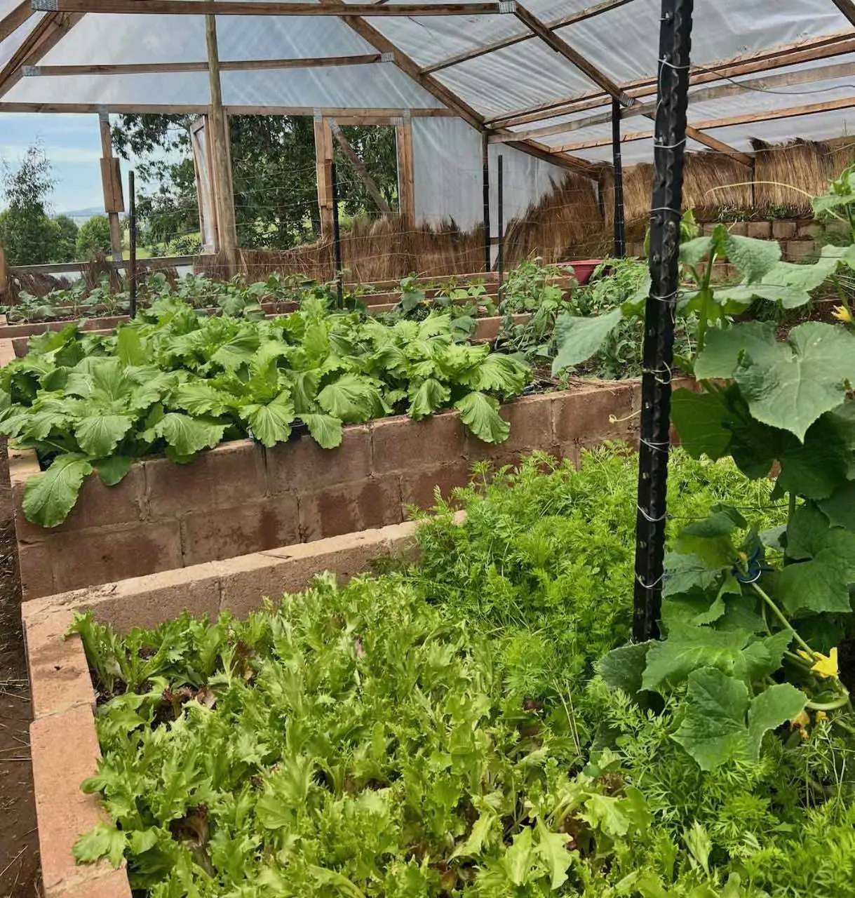 Garden in Malachite Manor