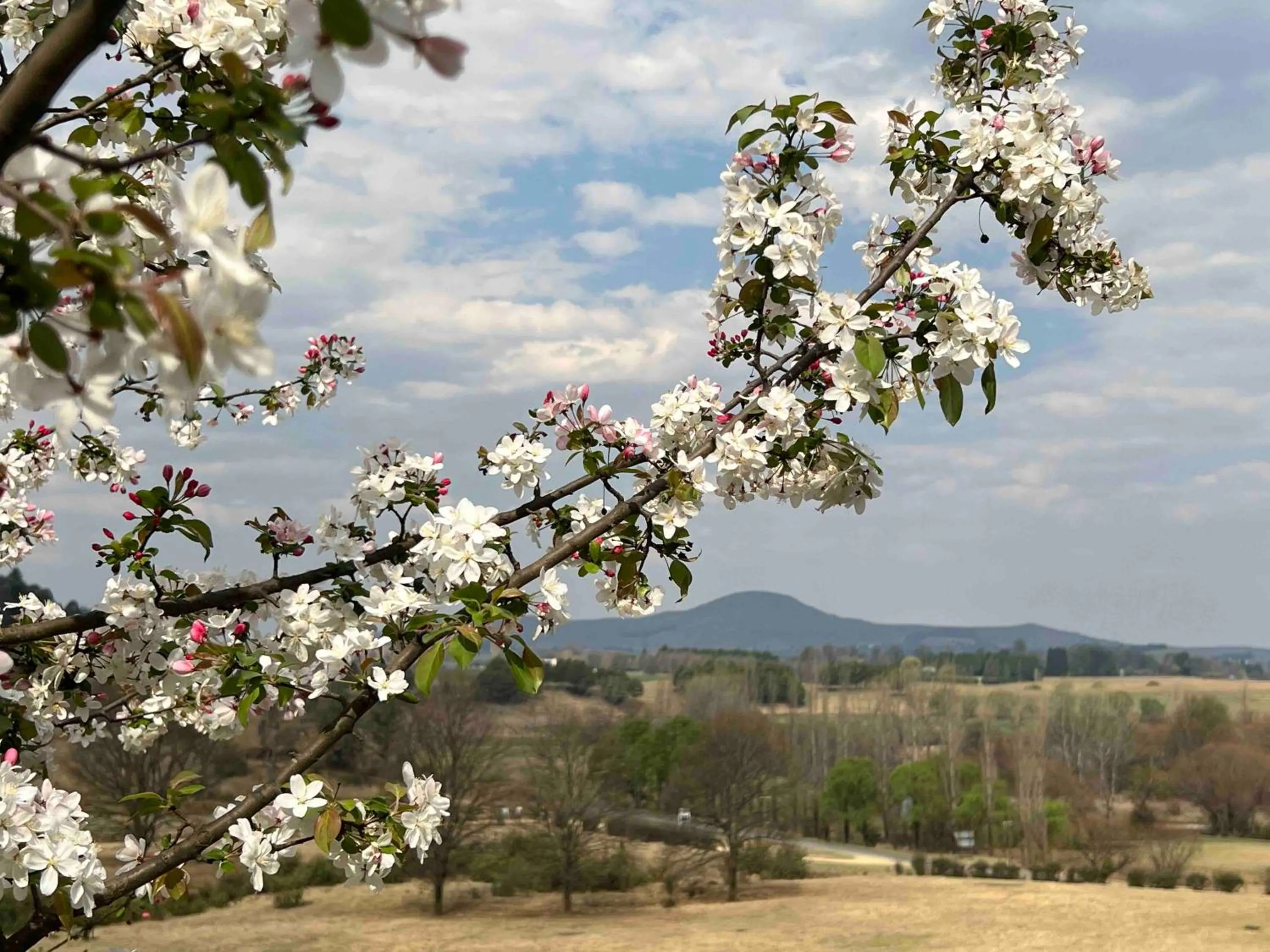Spring in Malachite Manor
