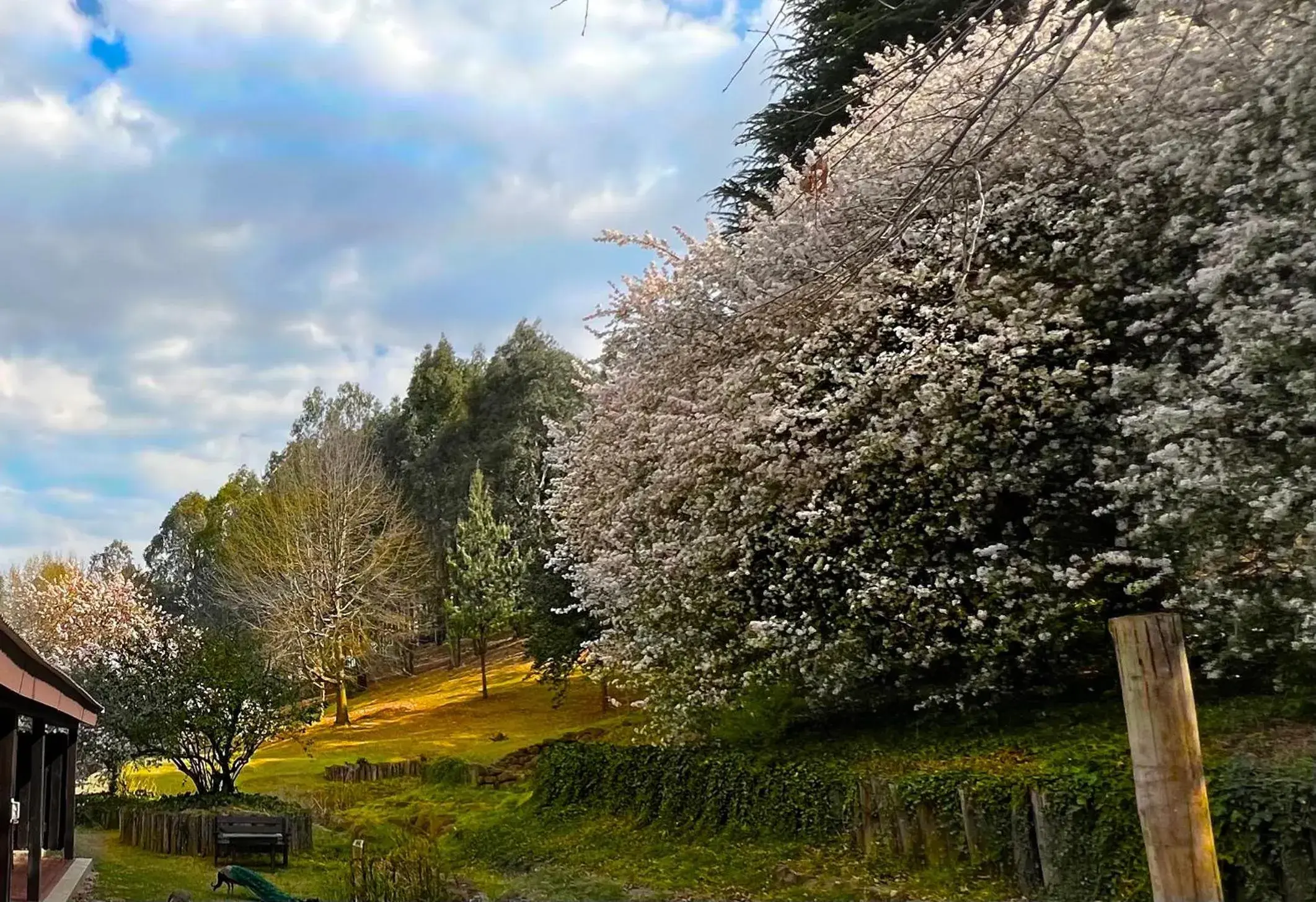 Luxury Triple Room - single occupancy in Malachite Manor Luxury Triple Room - single occupancy in Malachite Manor