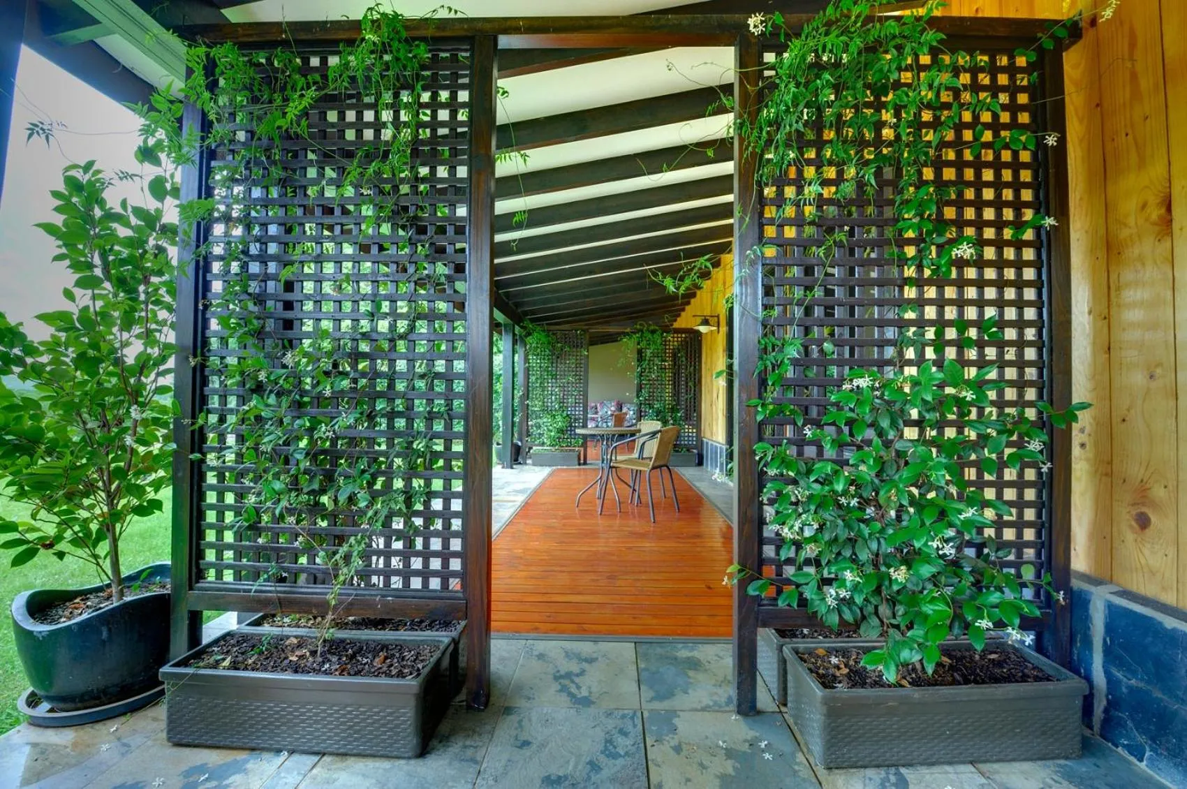 Patio in Malachite Manor