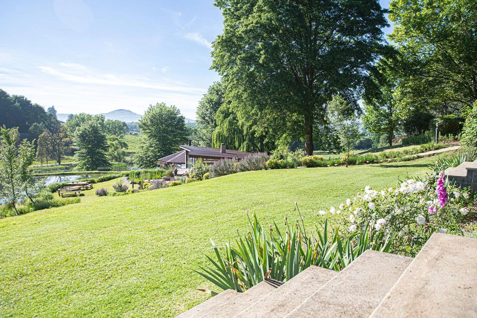 Natural landscape in Malachite Manor