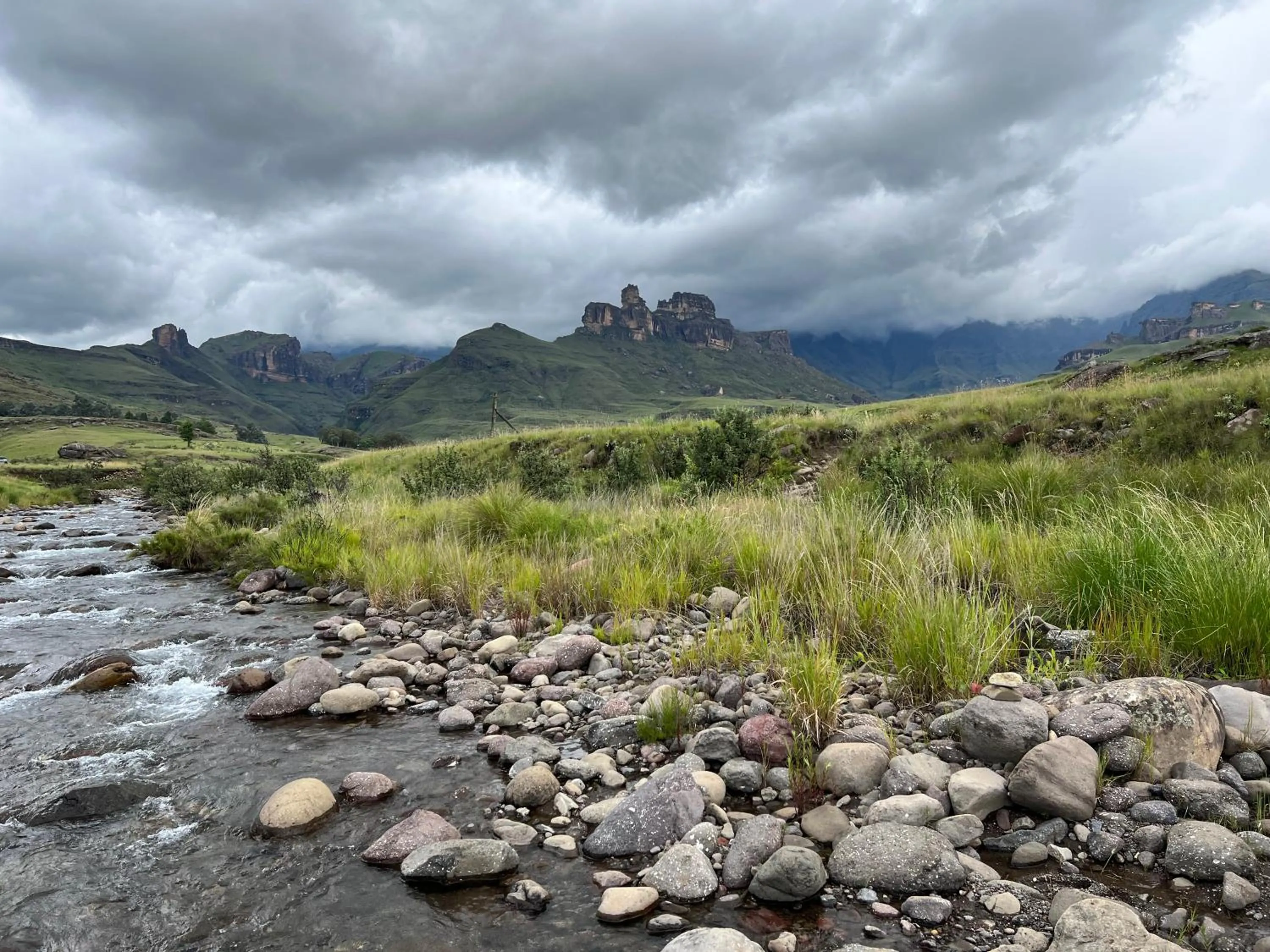 Other in Malachite Manor