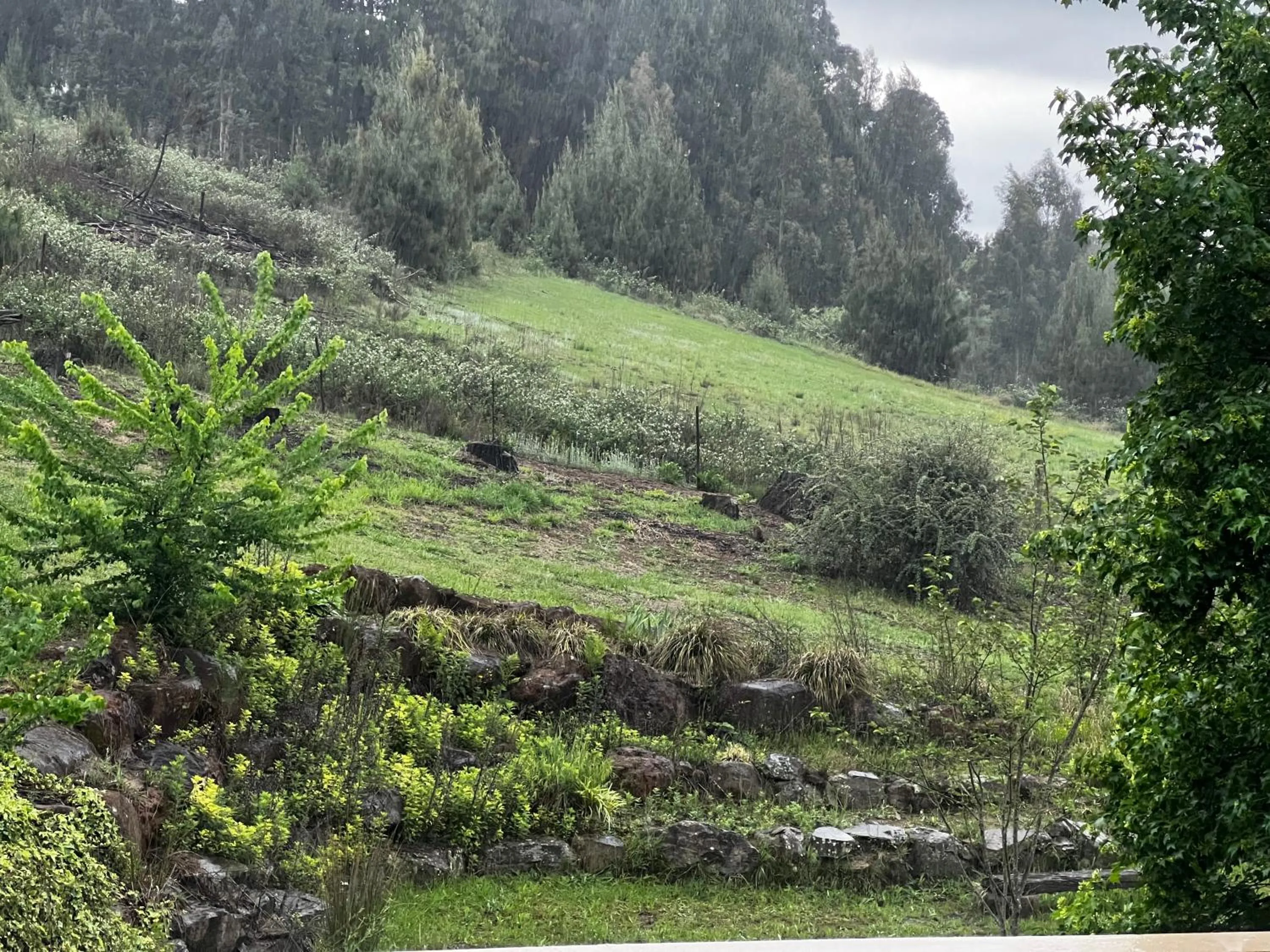 View (from property/room) in Malachite Manor