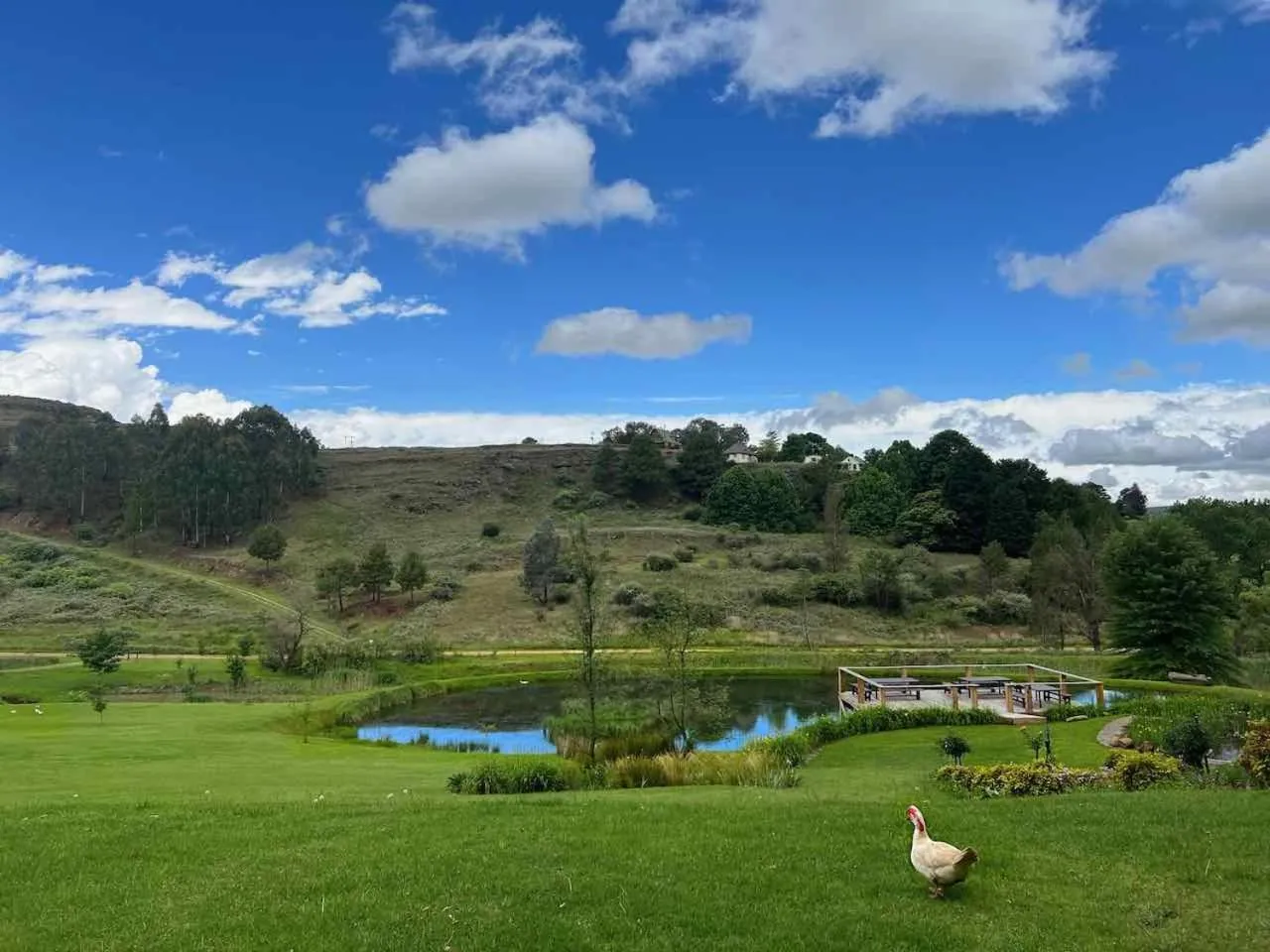 Natural landscape in Malachite Manor