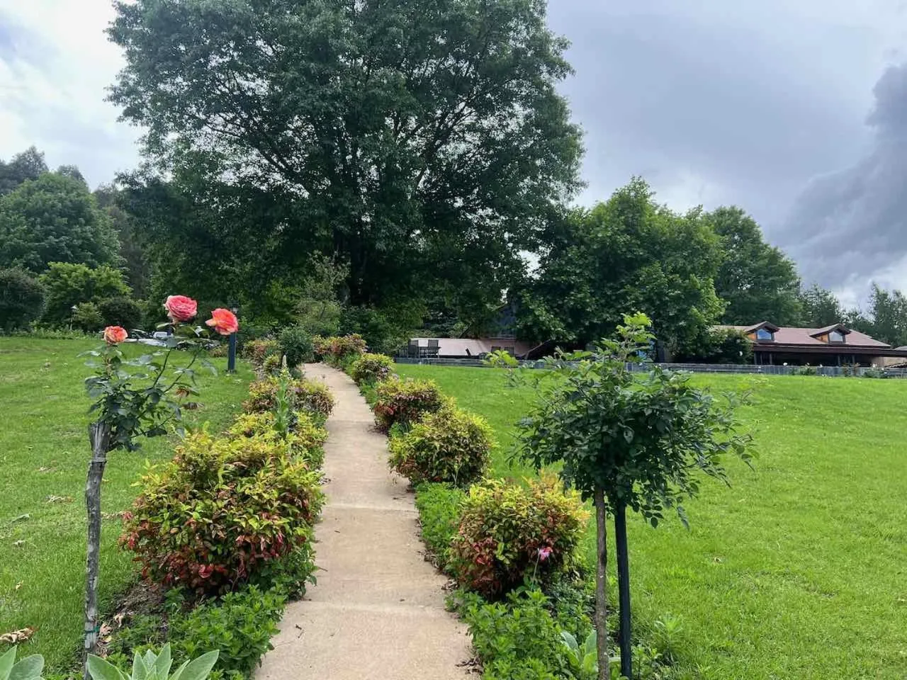 Garden in Malachite Manor
