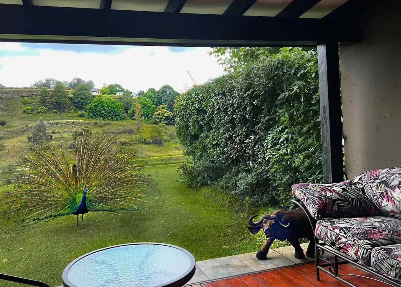 Patio in Malachite Manor