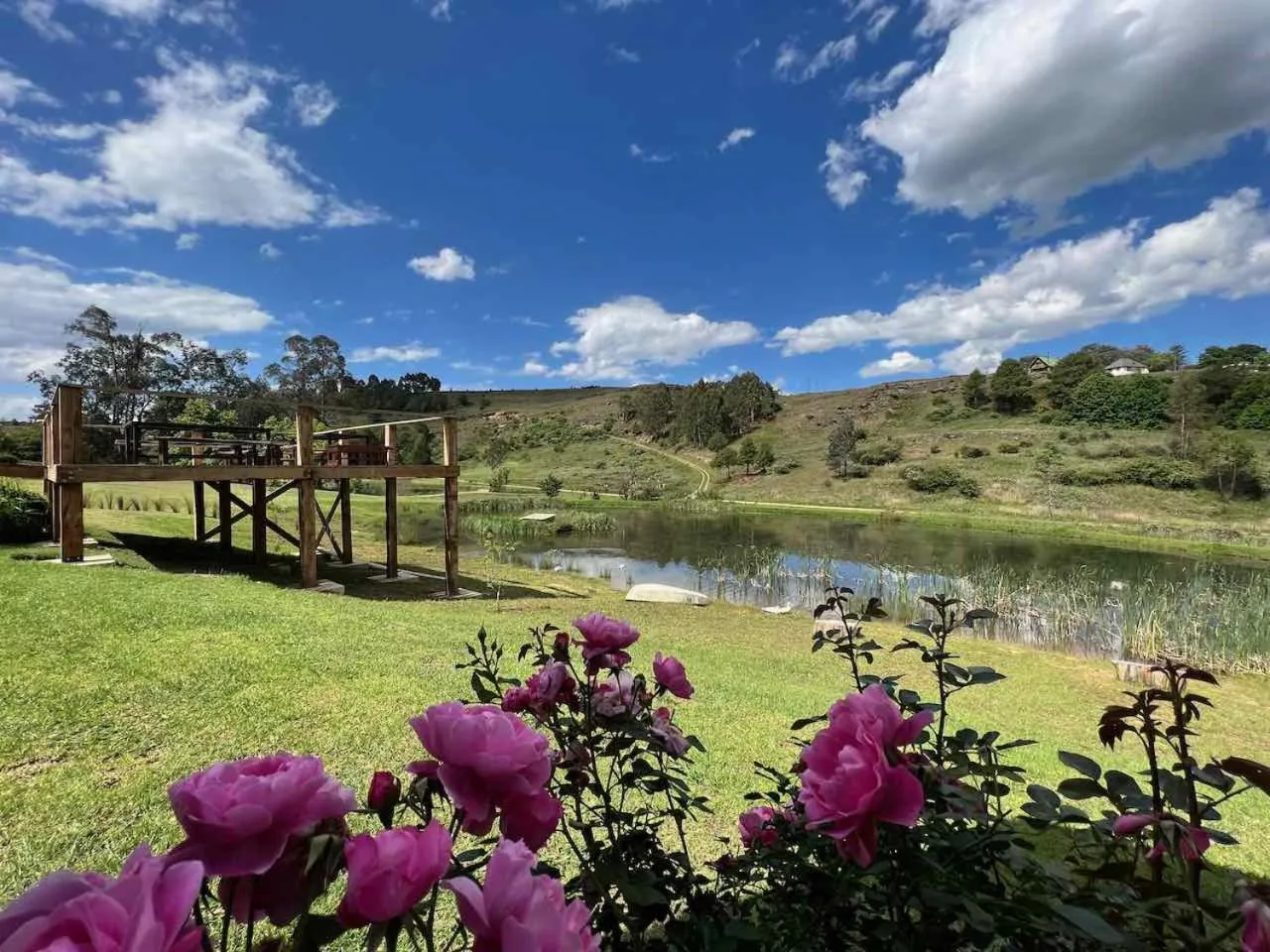 Property building in Malachite Manor