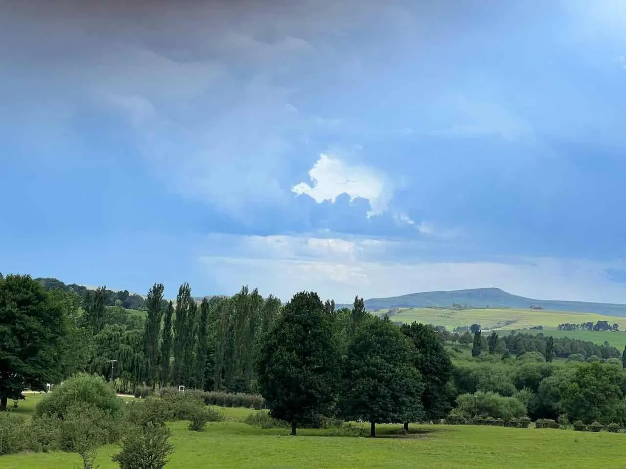 Garden in Malachite Manor