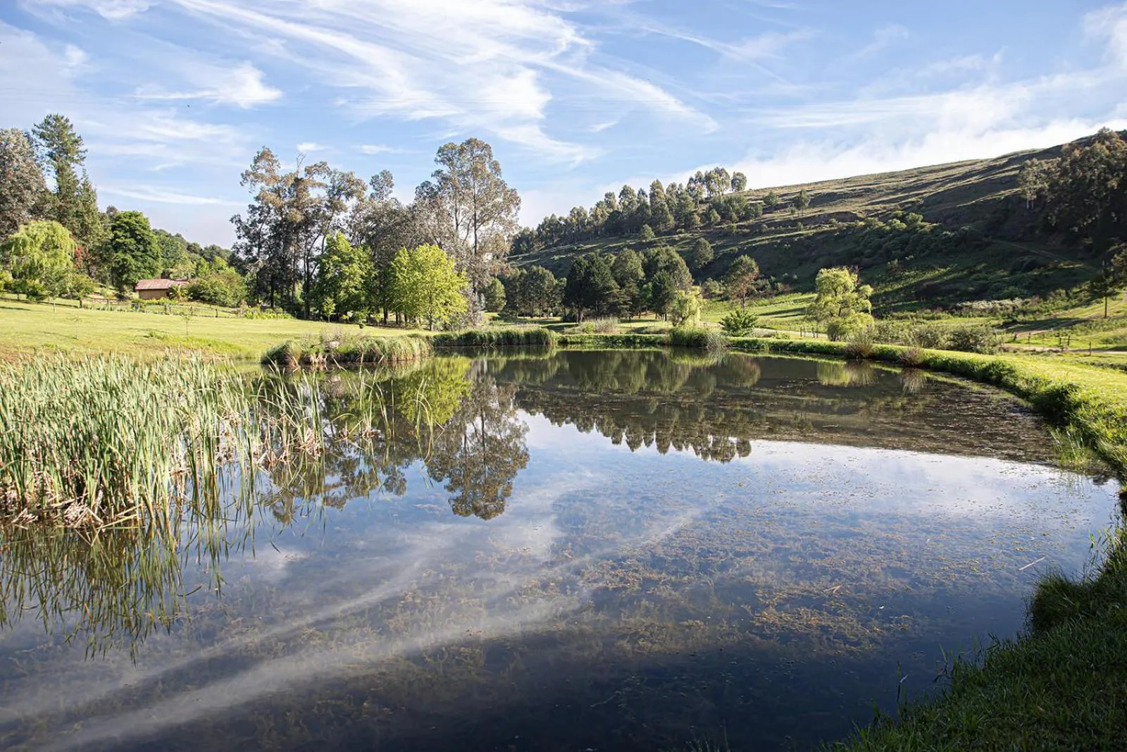 Property building in Malachite Manor