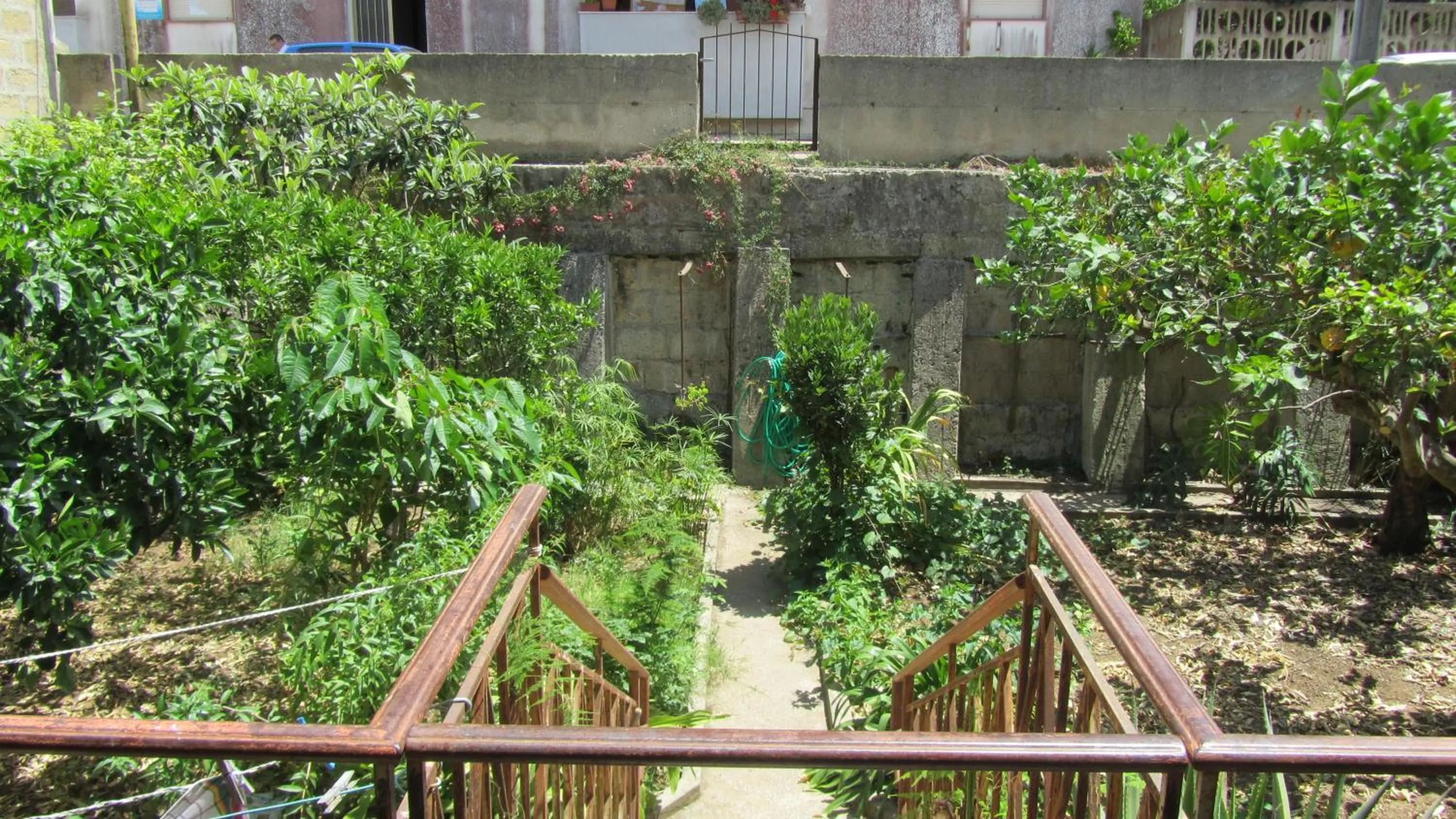 Garden in Bed & Breakfast Alice