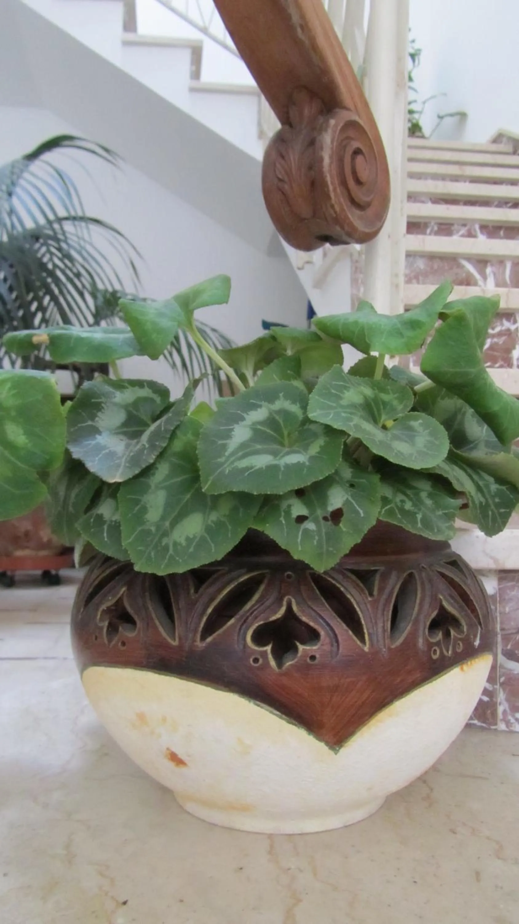 Facade/entrance in Bed & Breakfast Alice