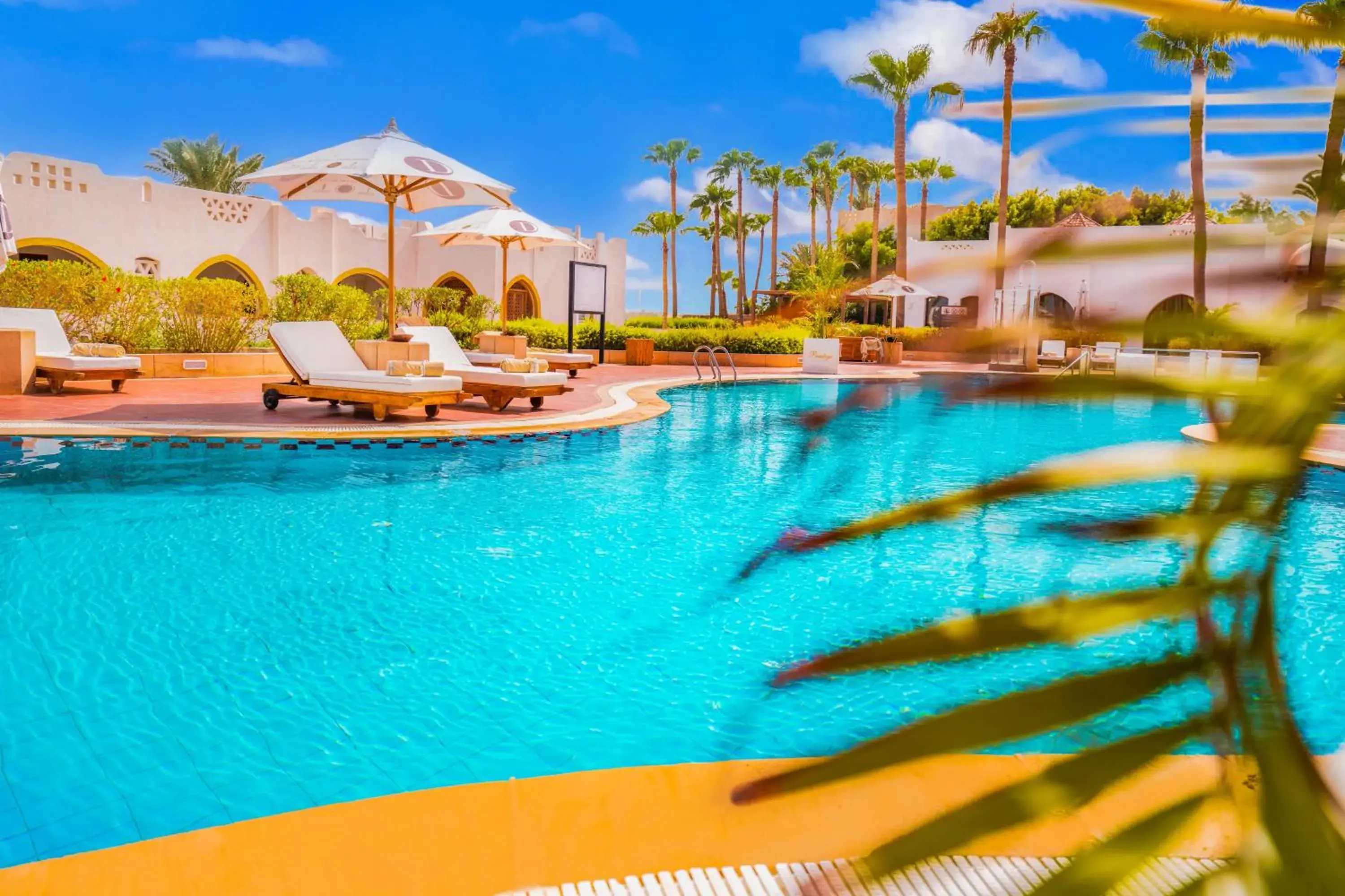 Swimming pool in Domina Coral Bay Resort, Diving , Spa & Casino Swimming pool in Domina Coral Bay Resort, Diving , Spa & Casino