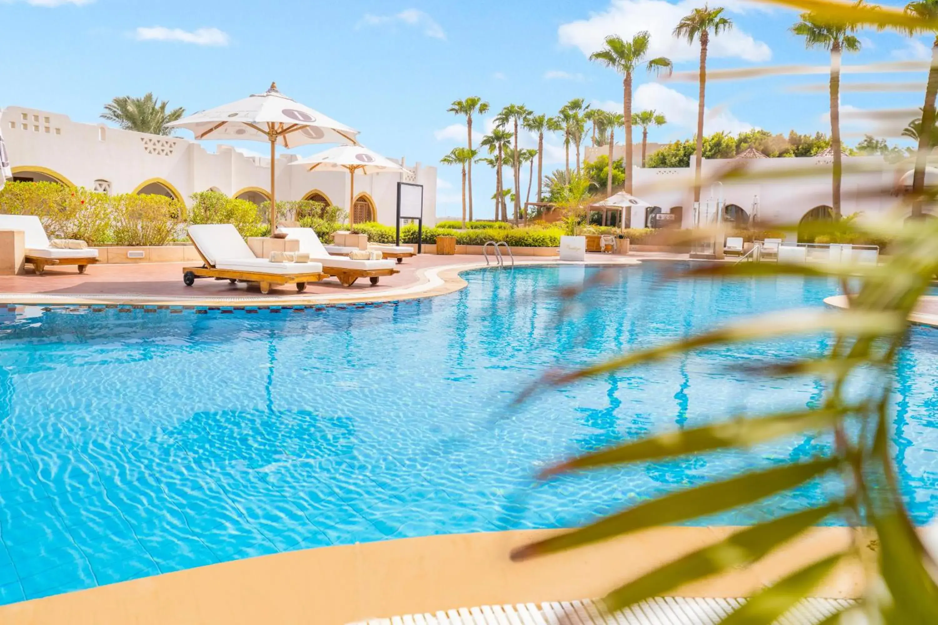 Swimming pool in Domina Coral Bay Resort, Diving , Spa & Casino Swimming pool in Domina Coral Bay Resort, Diving , Spa & Casino