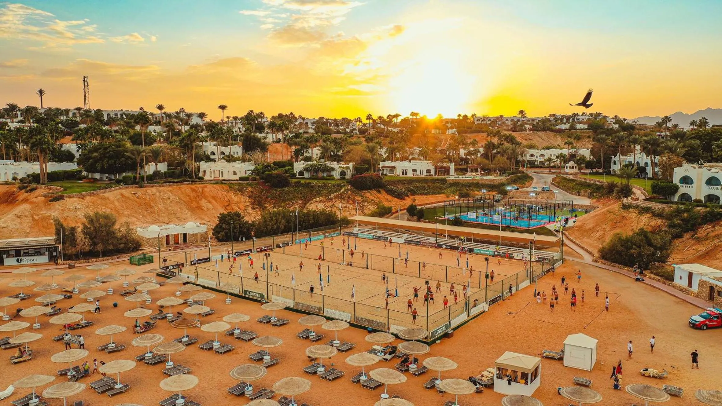 Activities in Domina Coral Bay Resort, Diving , Spa & Casino