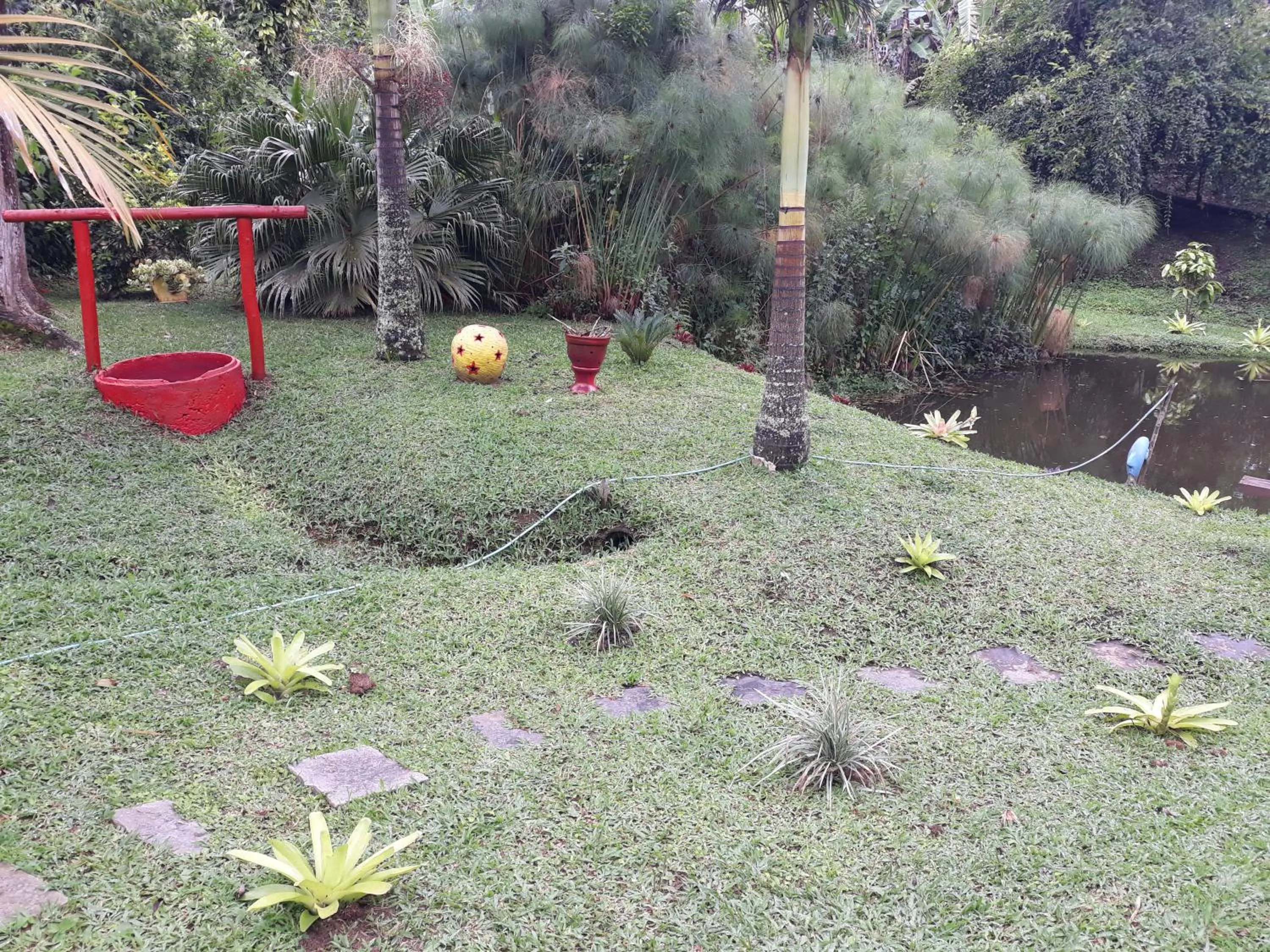 Sítio e Pousada Recanto Dos Ipês