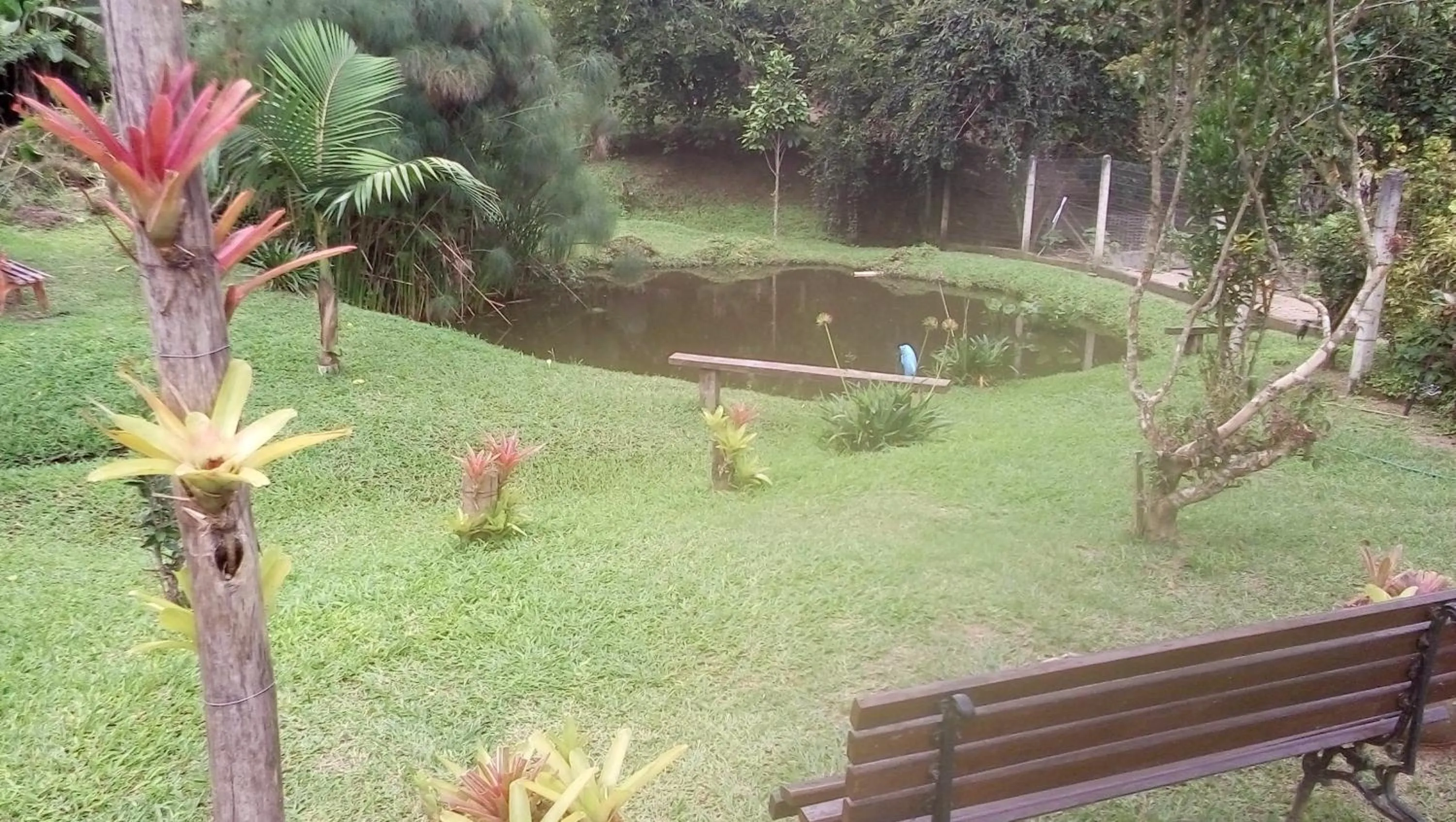 Sítio e Pousada Recanto Dos Ipês