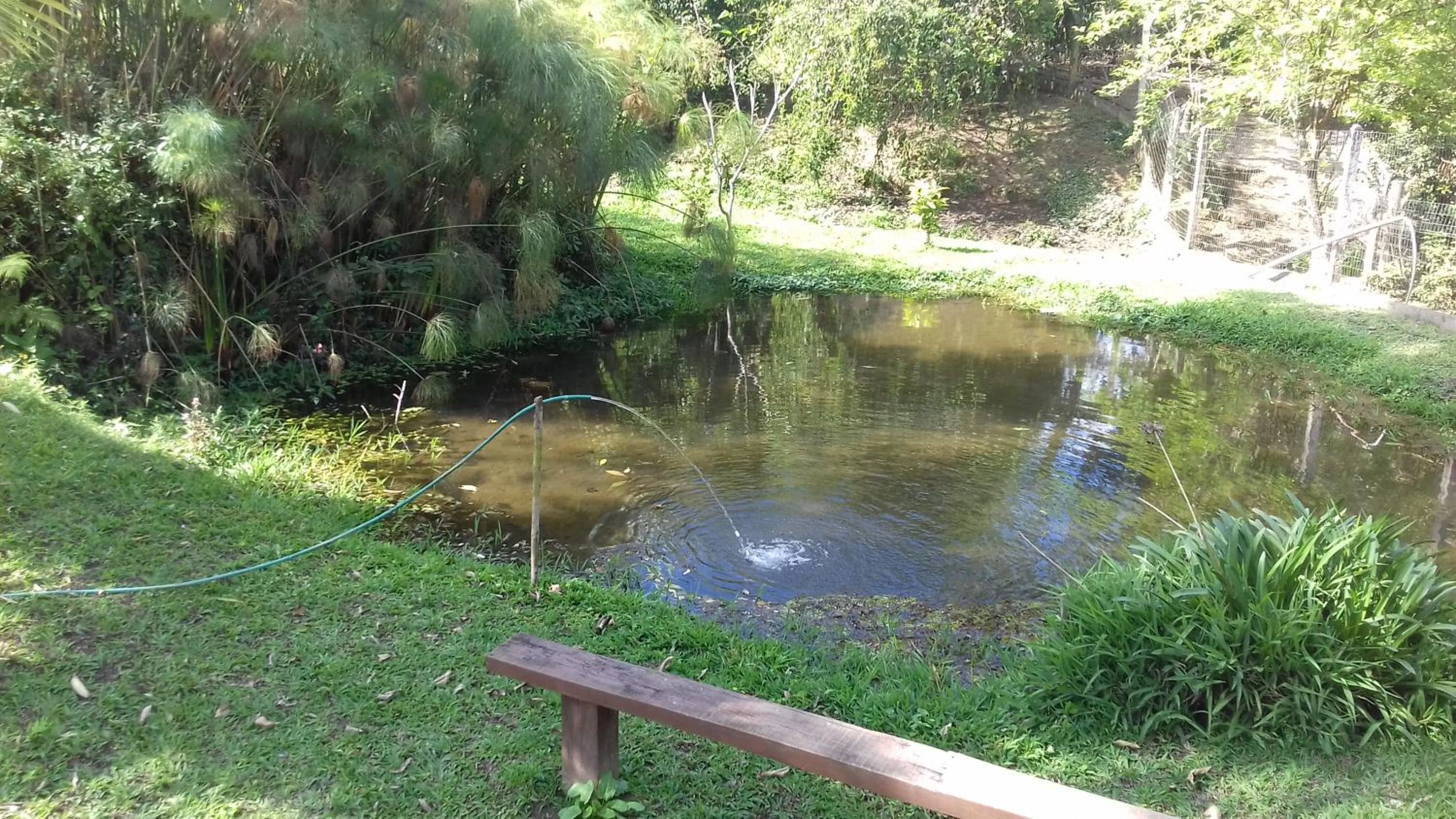 Sítio e Pousada Recanto Dos Ipês