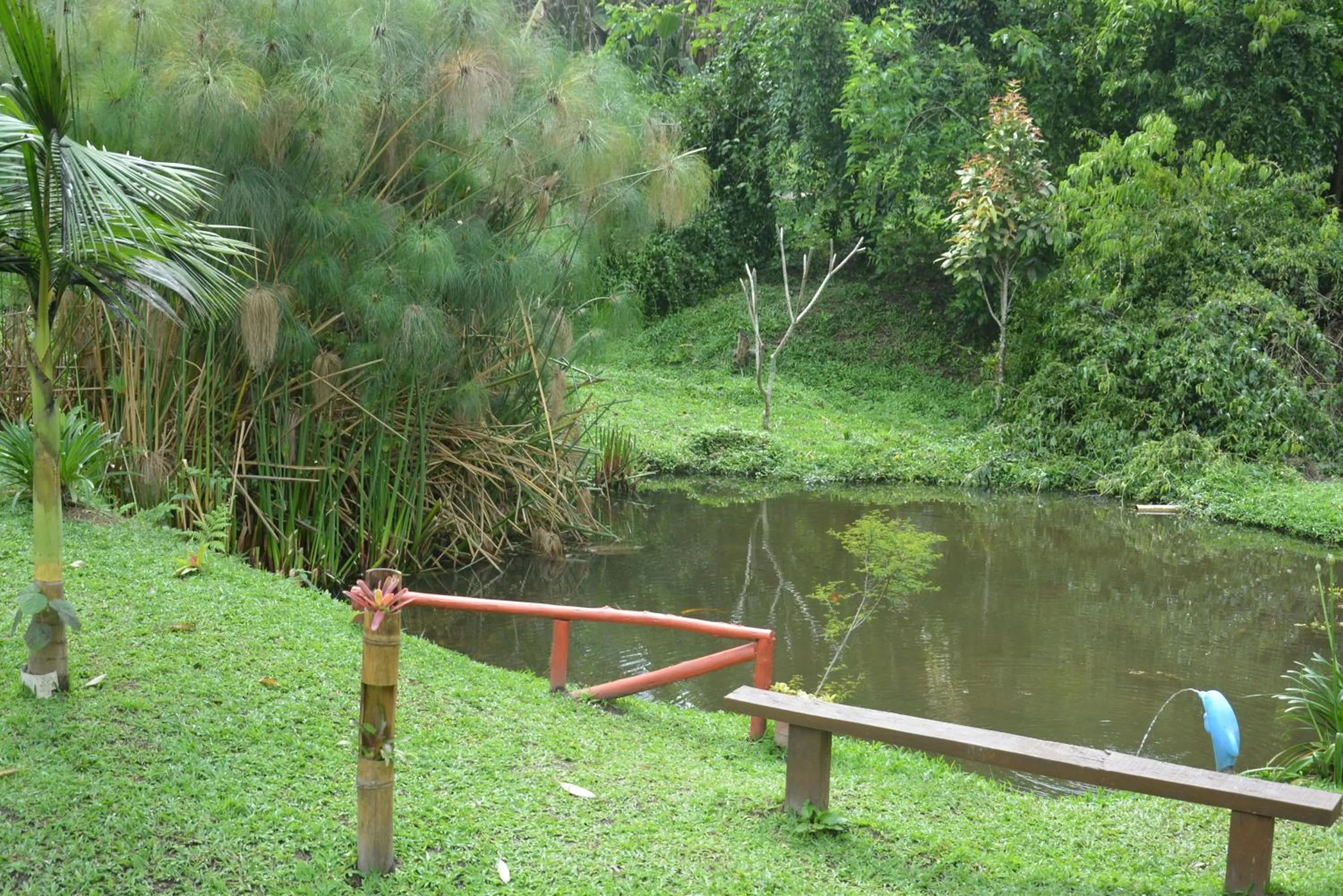 Sítio e Pousada Recanto Dos Ipês