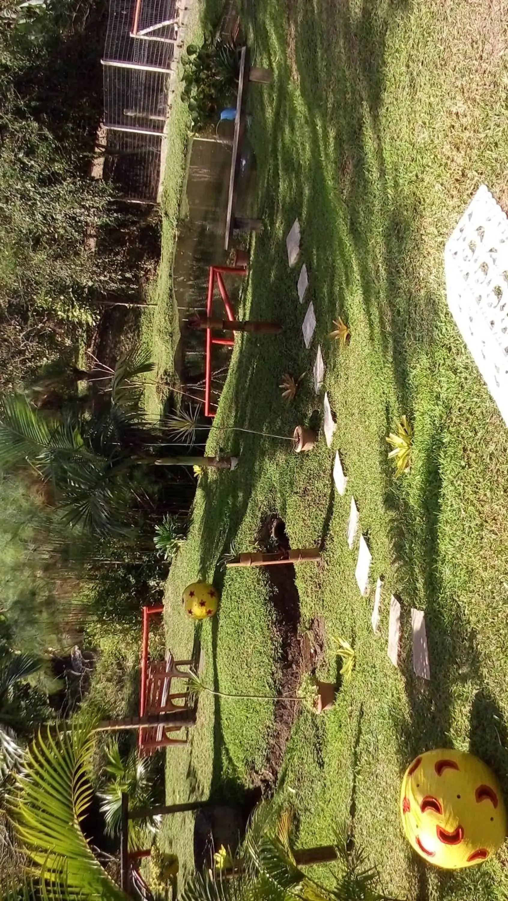 Suite with Lake View in Sítio e Pousada Recanto Dos Ipês Suite with Lake View in Sítio e Pousada Recanto Dos Ipês