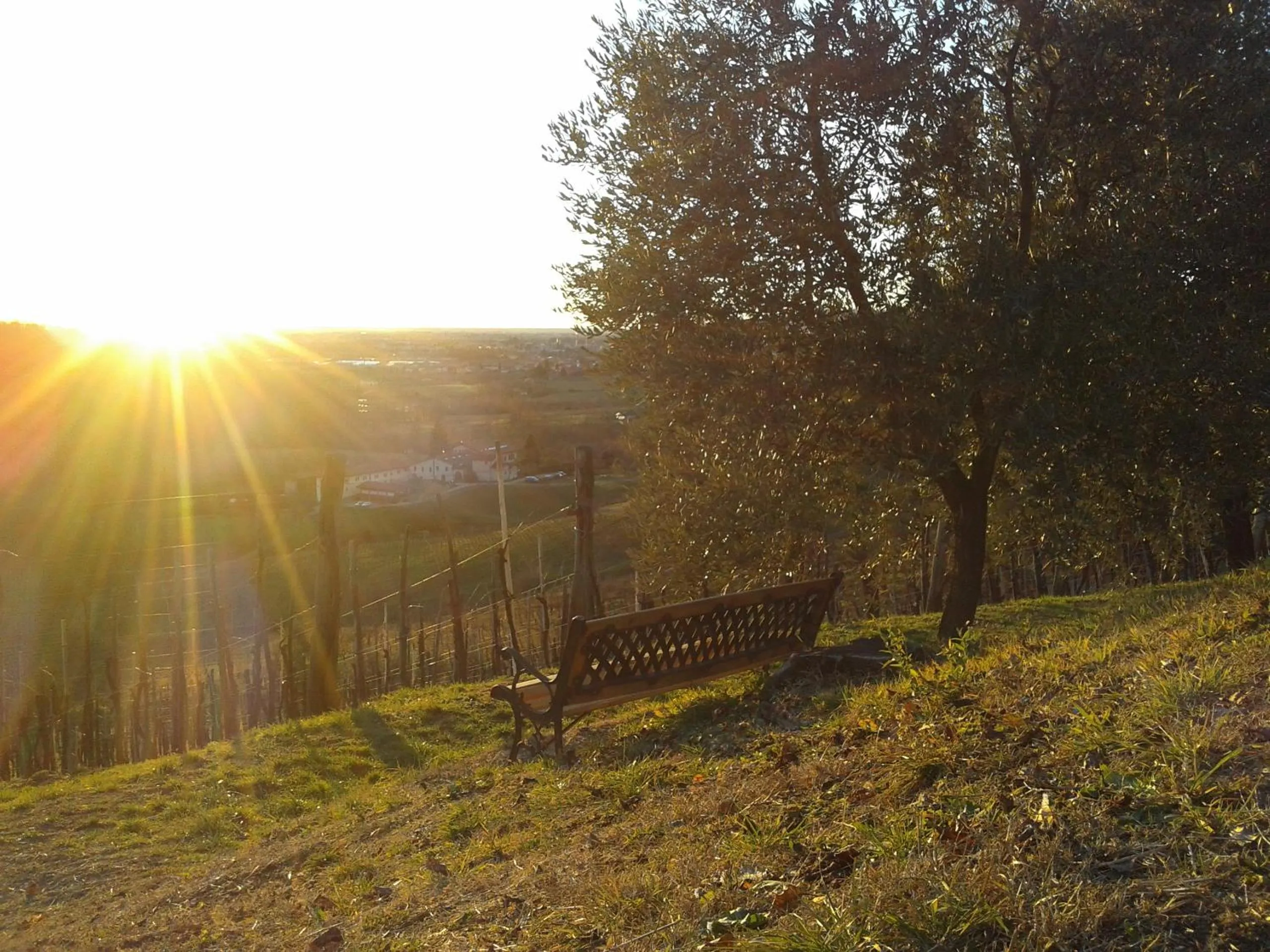 Natural landscape in B&B MiraValle