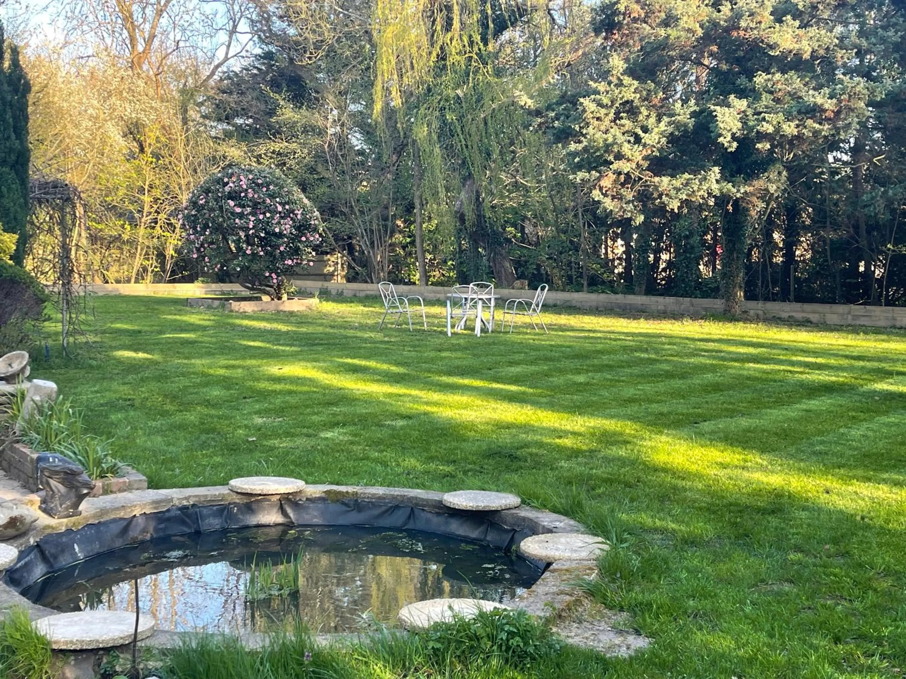 Garden in Da Vinci Guest House & Guest Parking, A Real Gem