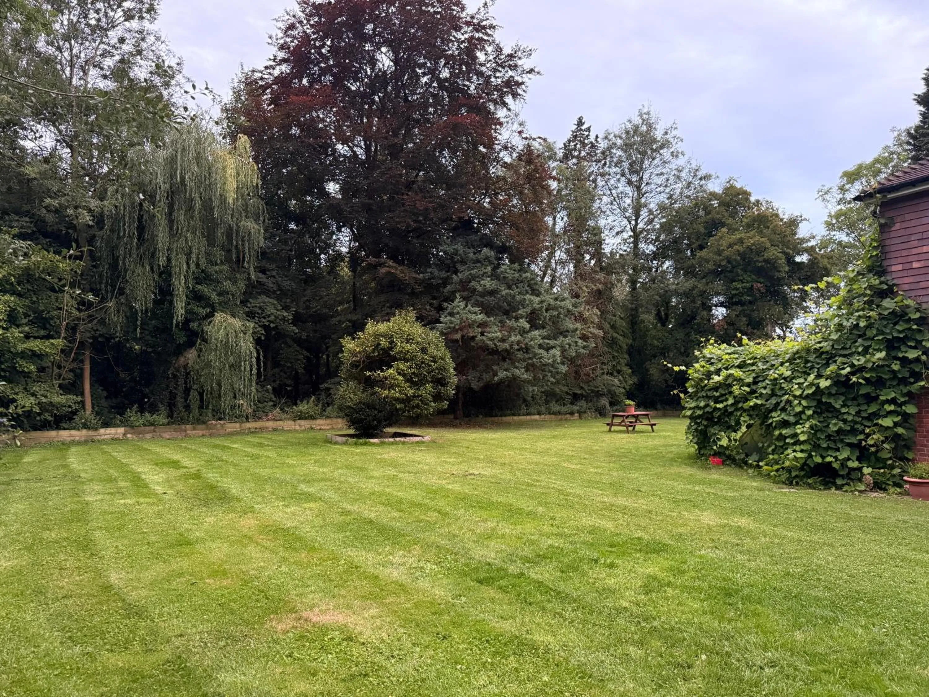 Garden in Da Vinci Guest House & Guest Parking, A Real Gem