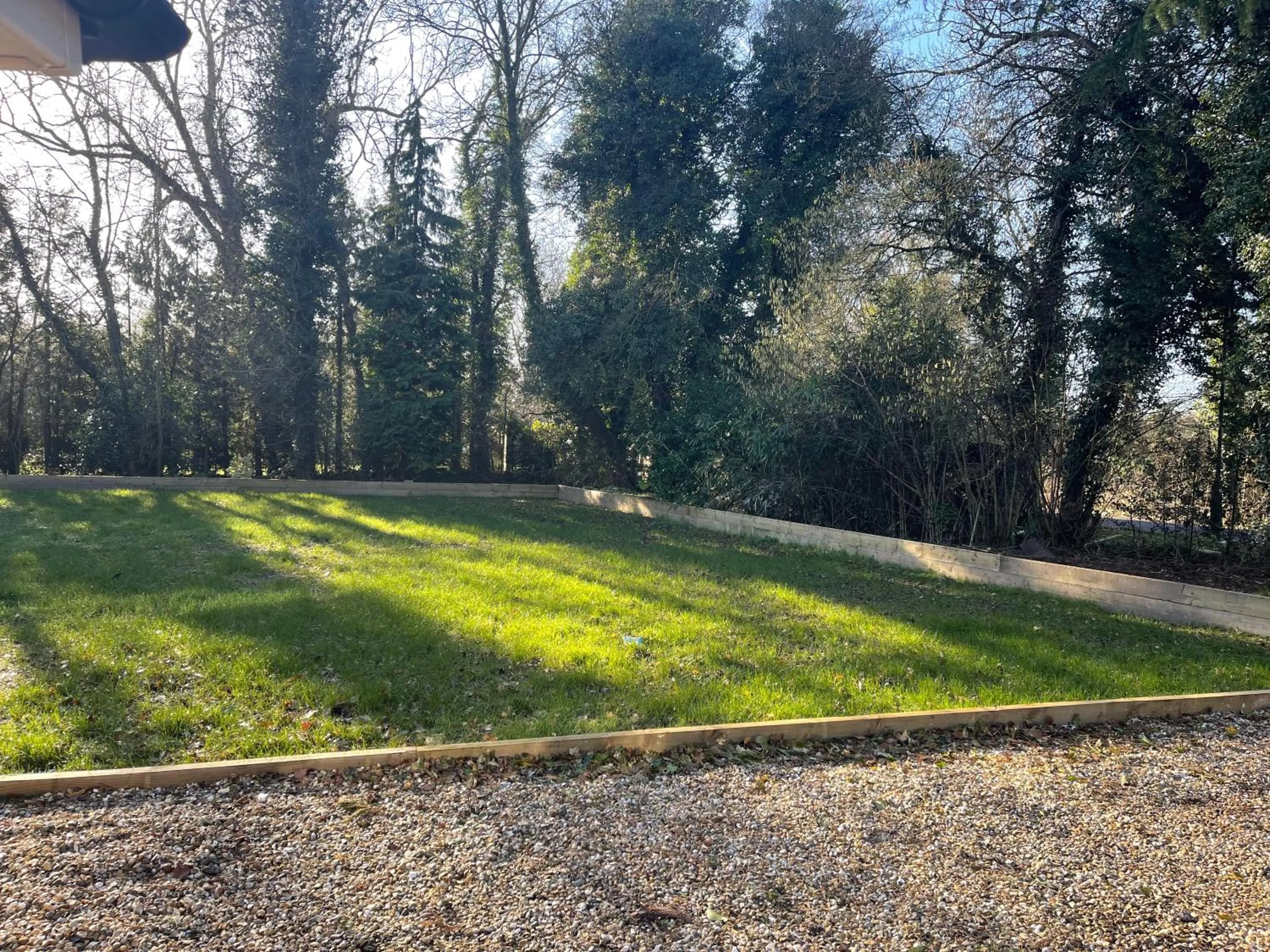 Garden in Da Vinci Guest House & Guest Parking, A Real Gem