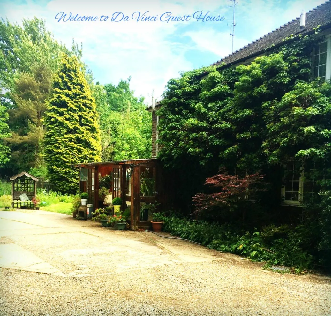 Other in Da Vinci Guest House & Guest Parking, A Real Gem