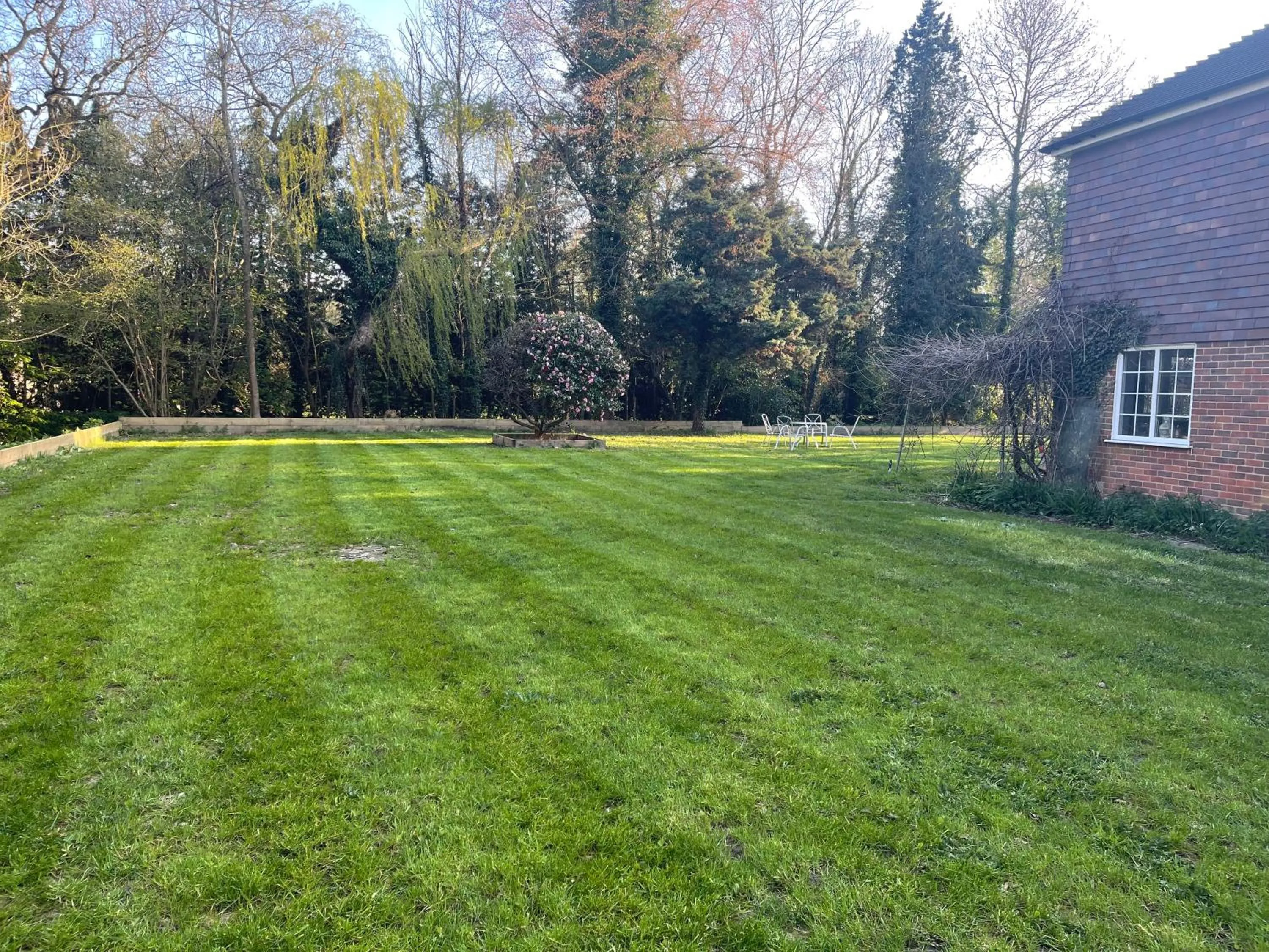 Garden in Da Vinci Guest House & Guest Parking, A Real Gem