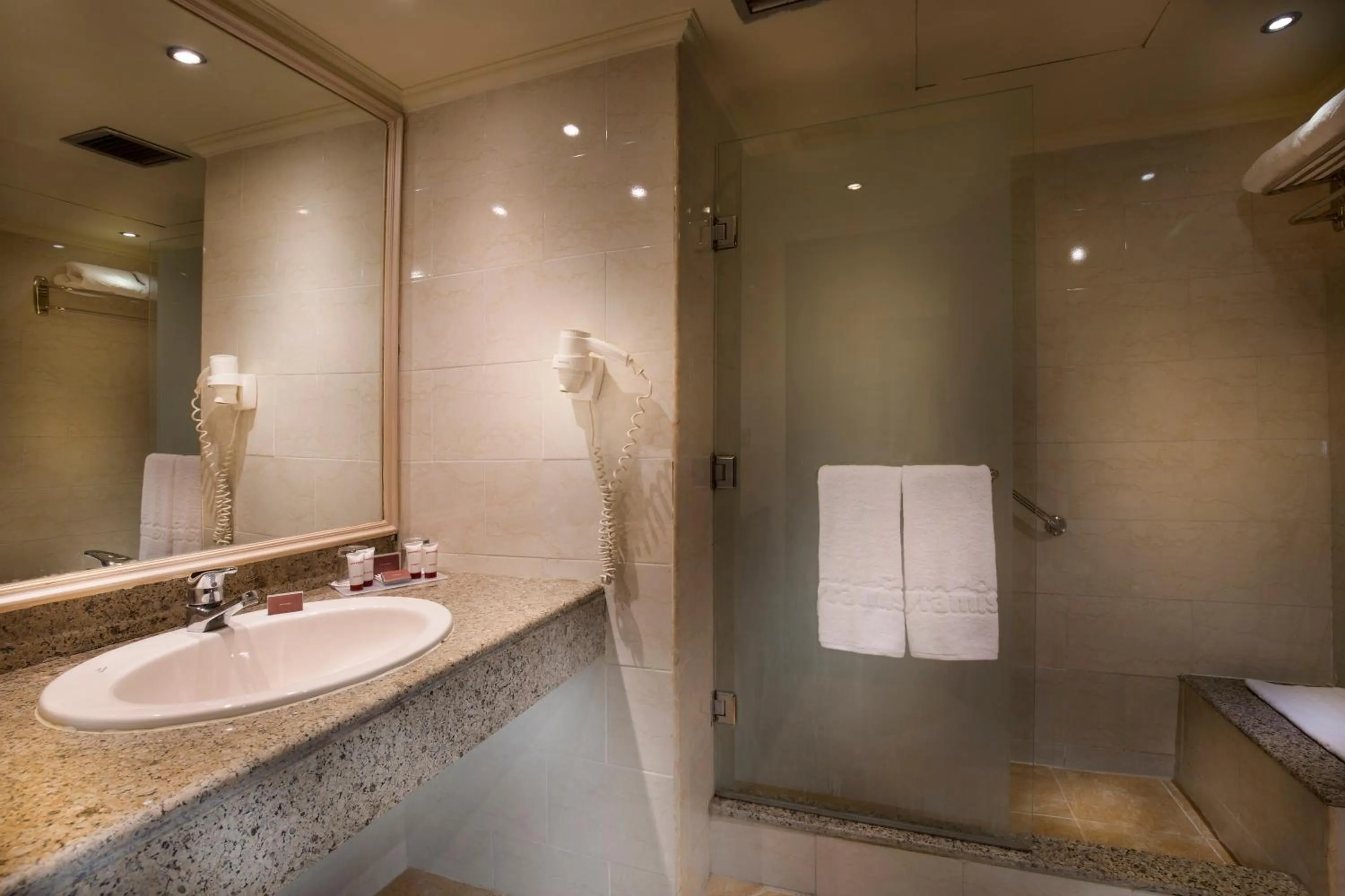 Bathroom in Pyramisa Suites Hotel Cairo