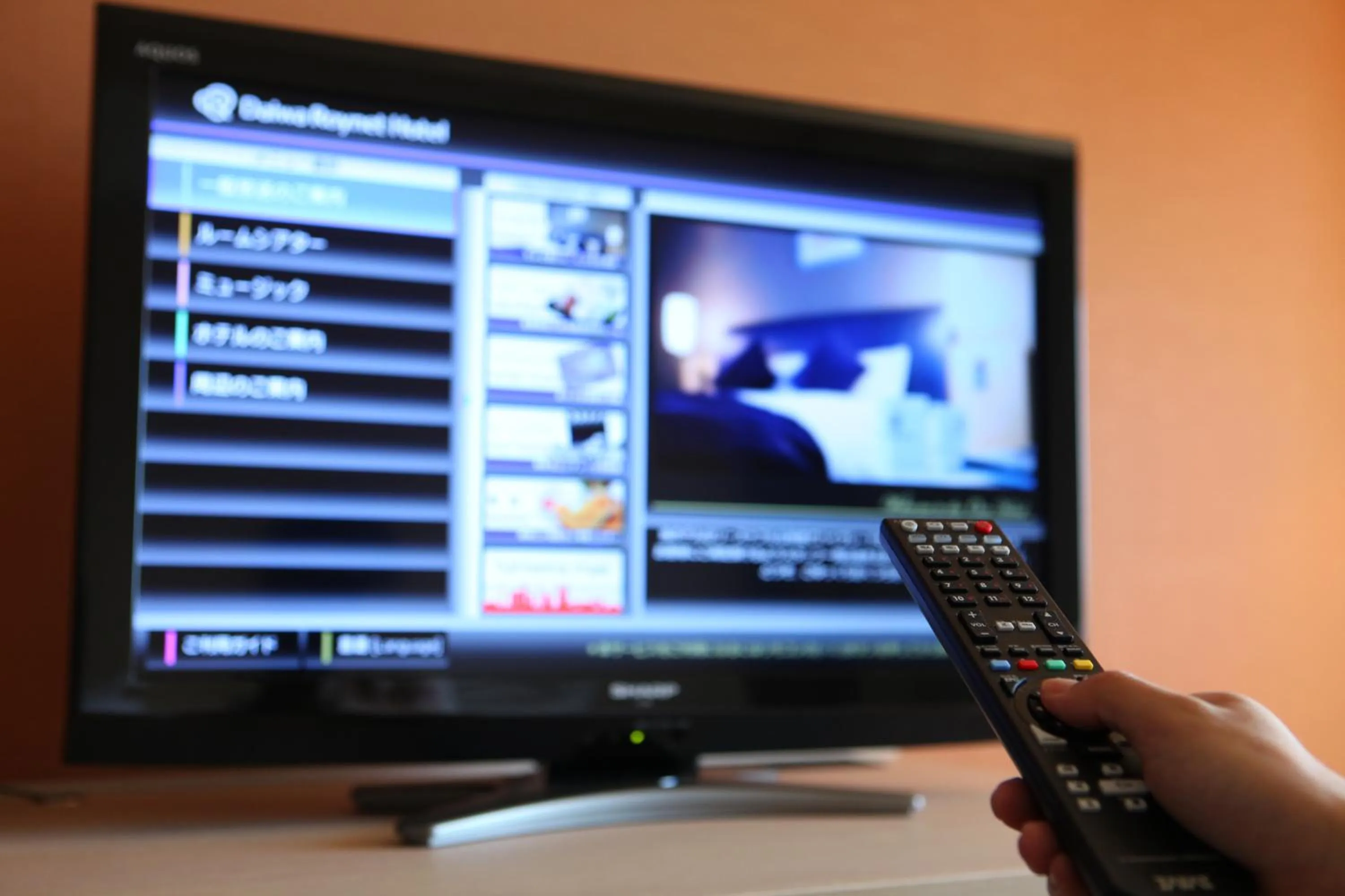 TV and multimedia in Daiwa Roynet Hotel Kokura Ekimae