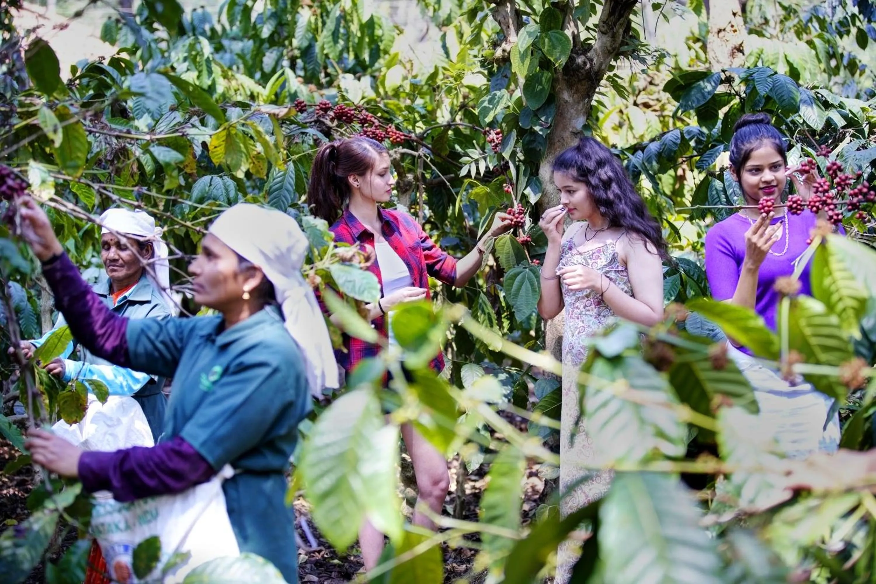 Activities in Gokulam Grand Resort & Spa, Coorg