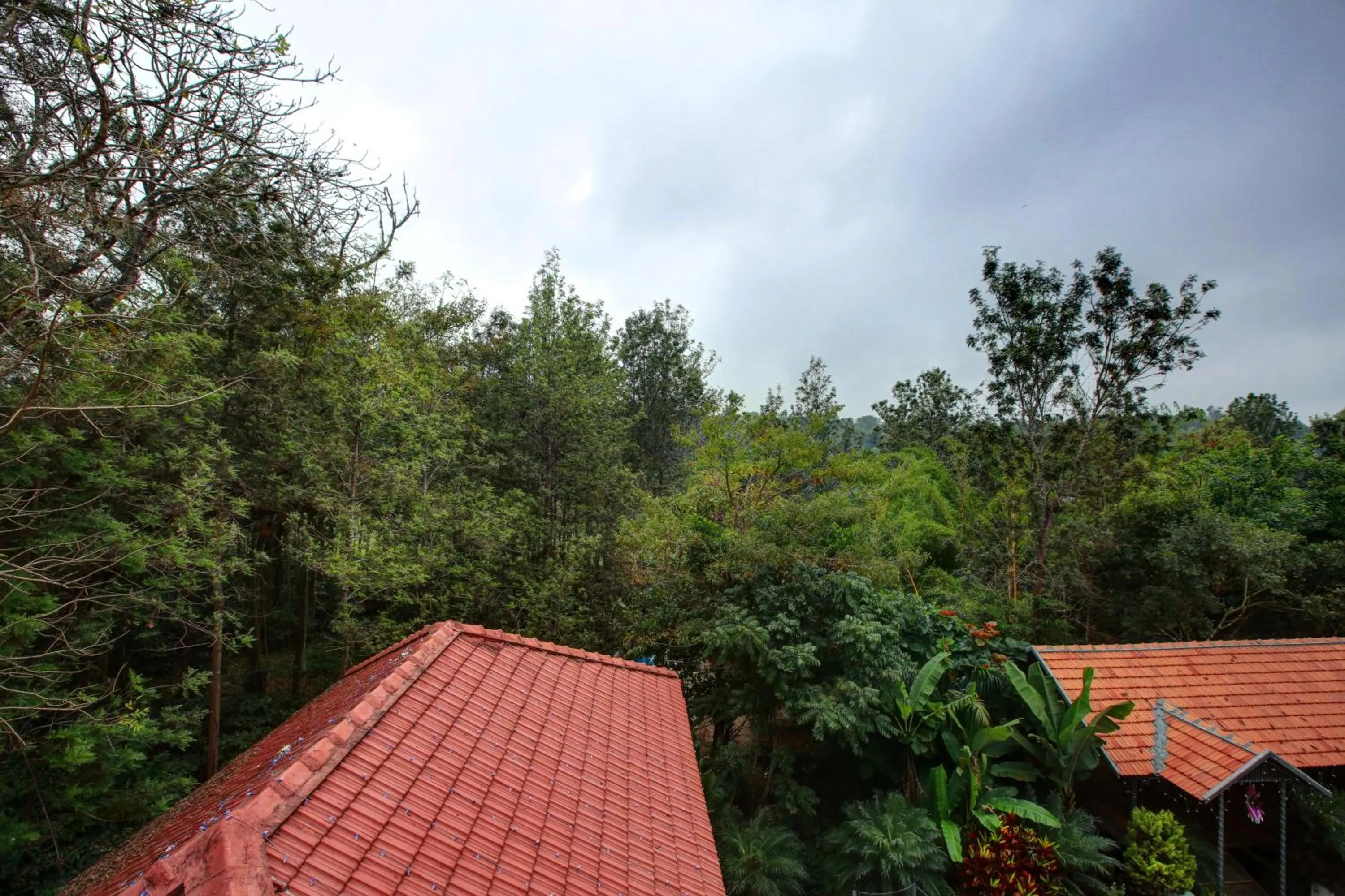 View (from property/room) in Gokulam Grand Resort & Spa, Coorg