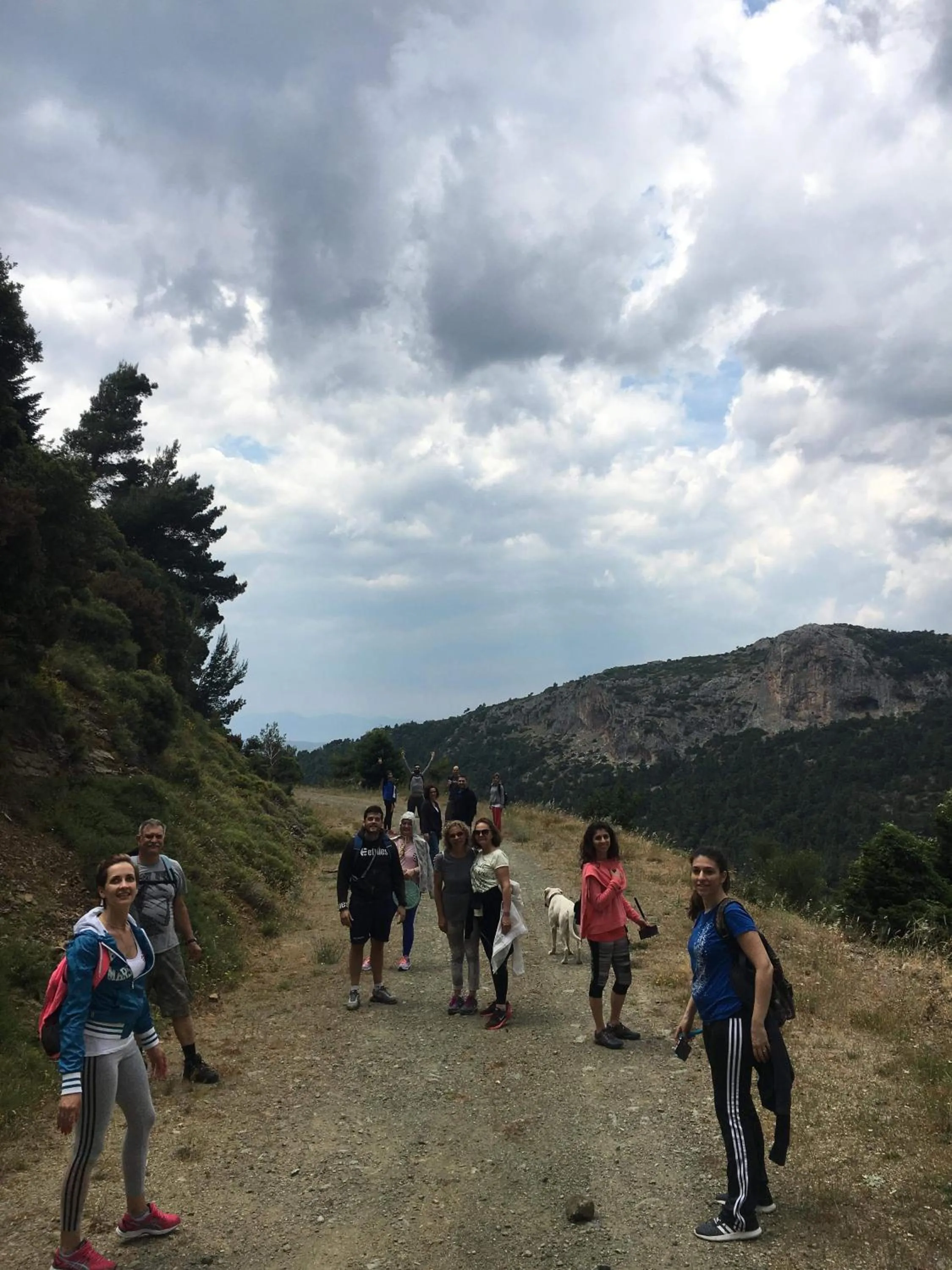 Activities in Hotel Steni