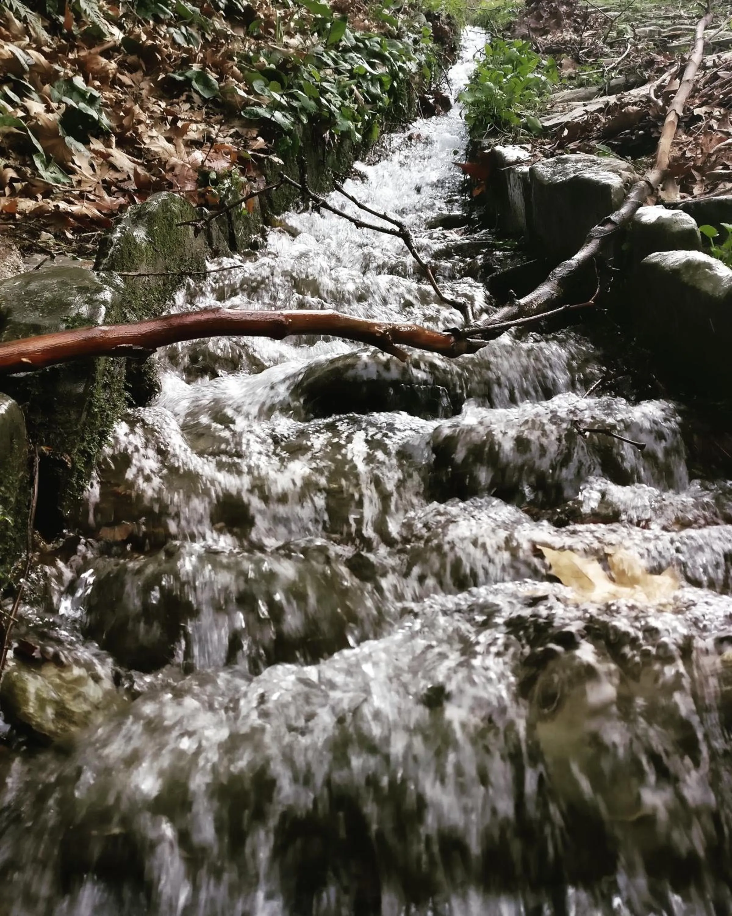 Hiking in Hotel Steni