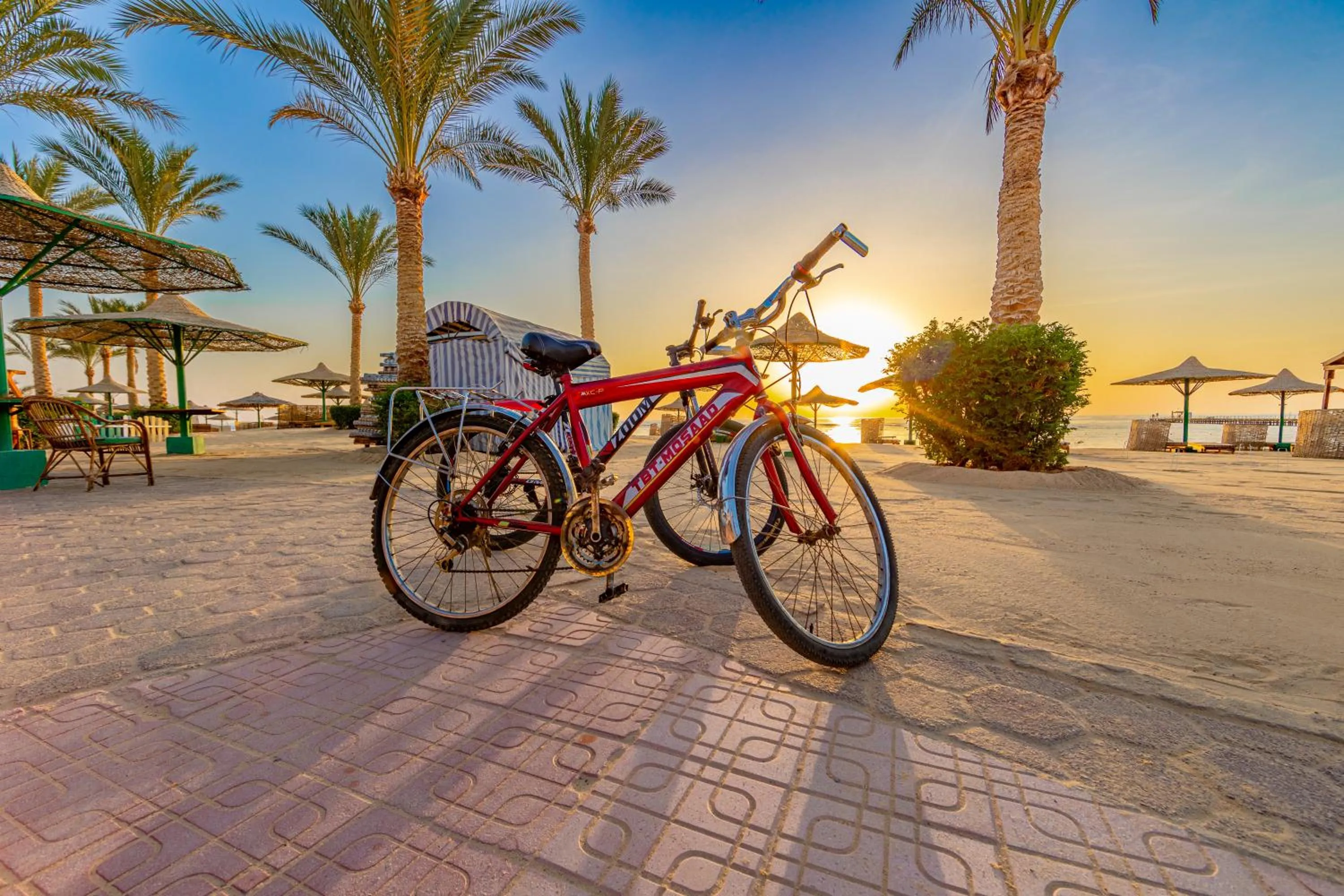 Activities in Flamenco Beach & Resort Quseir