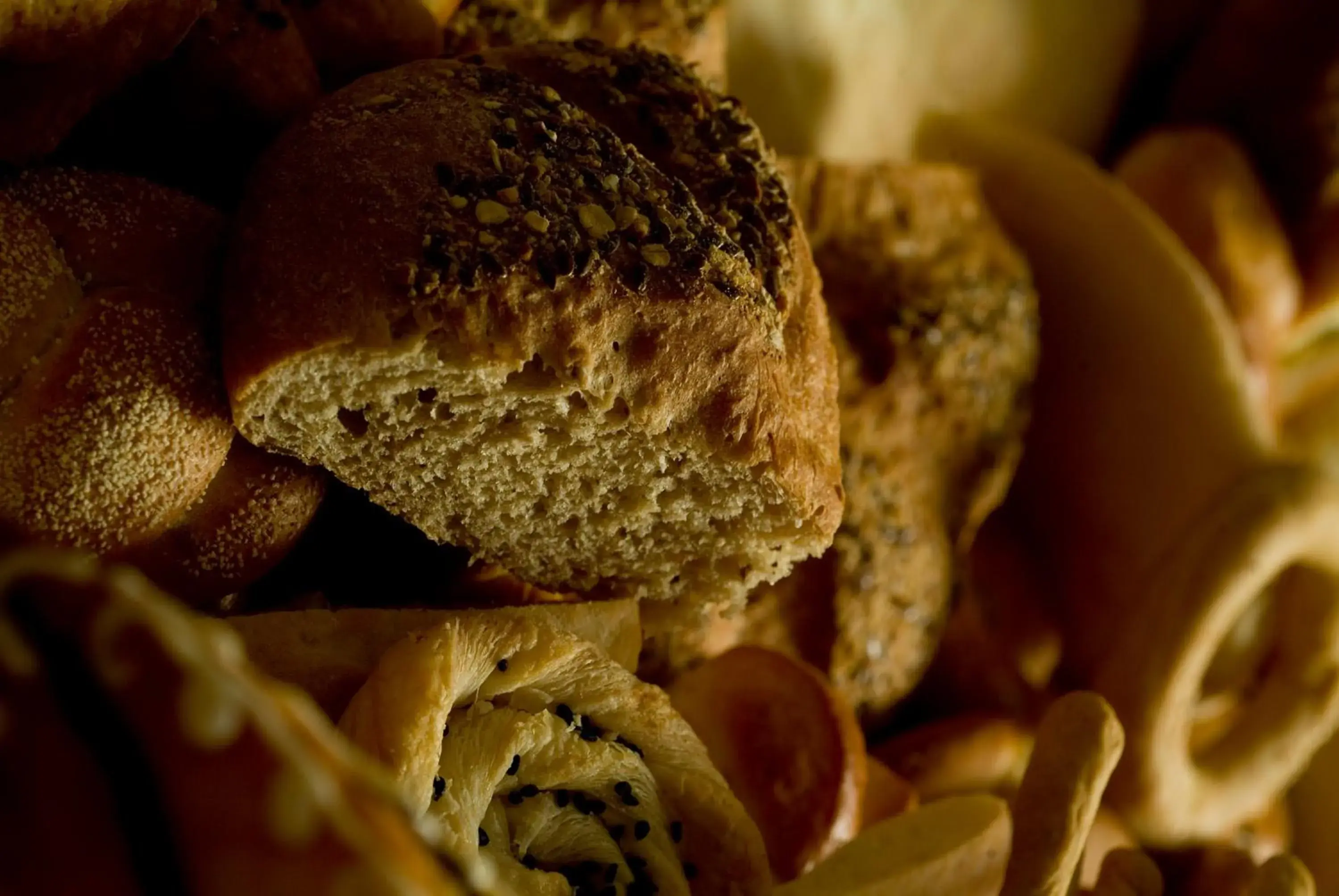 Food close-up in Flamenco Beach & Resort Quseir Food close-up in Flamenco Beach & Resort Quseir