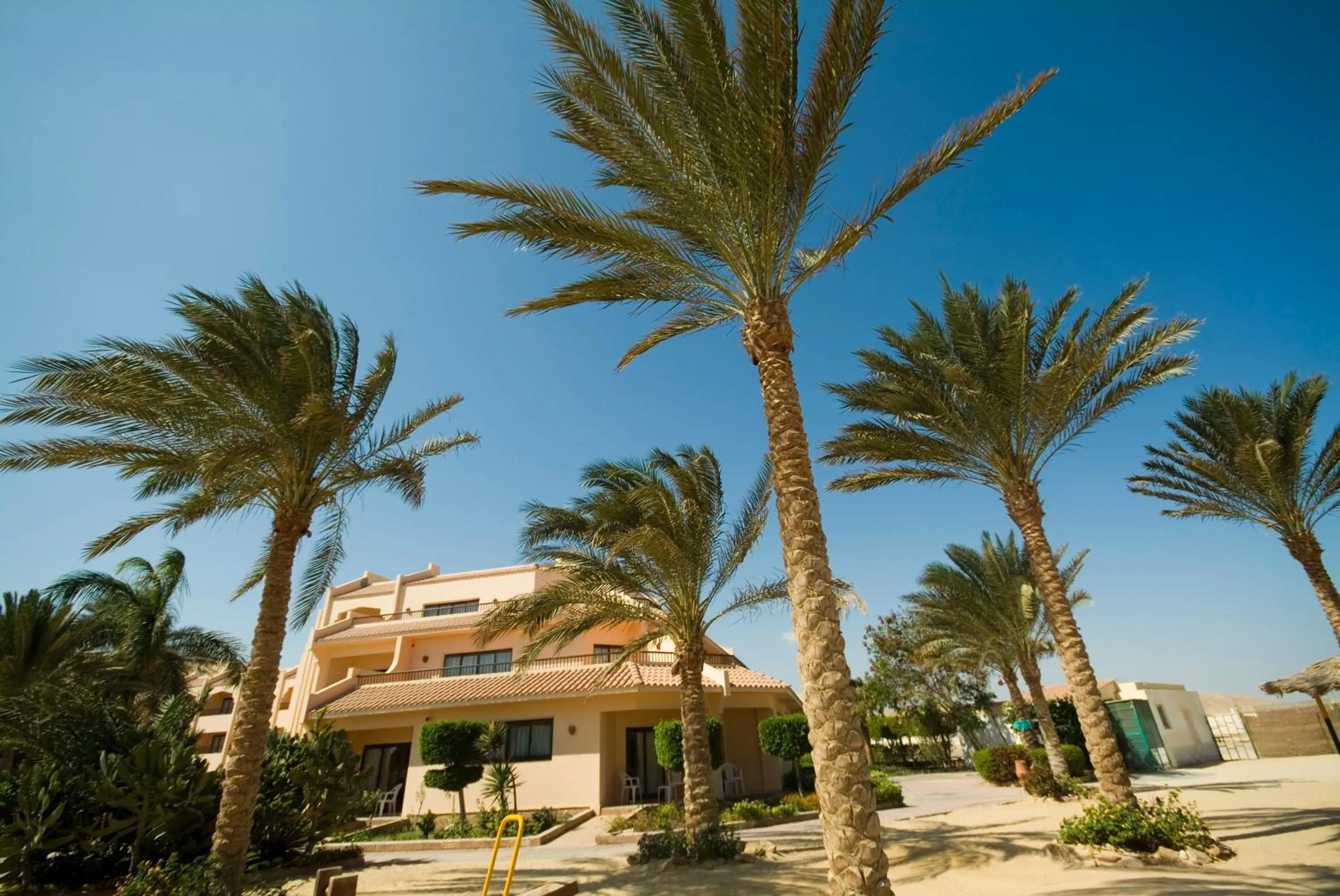 Day in Flamenco Beach & Resort Quseir