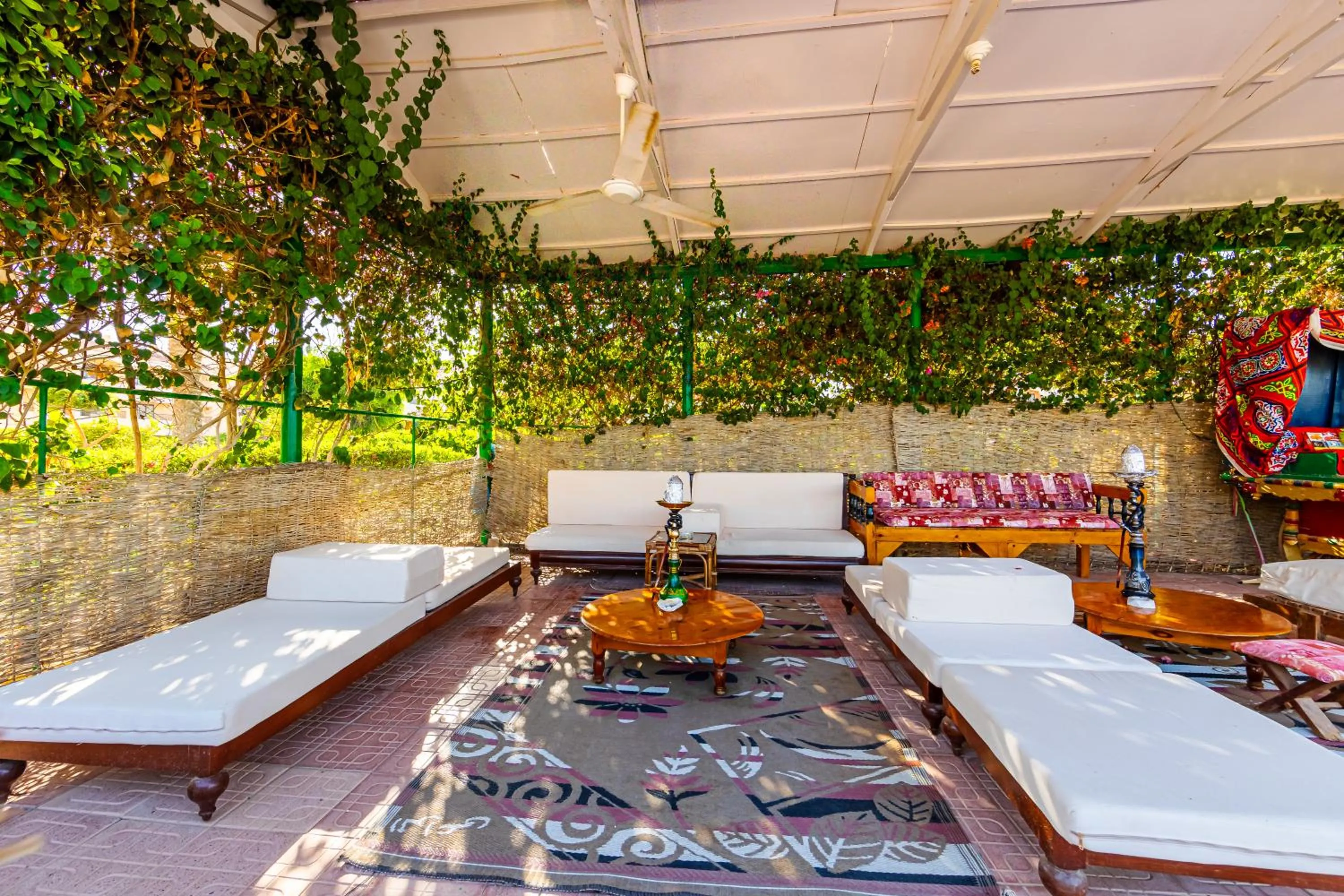 Entertainment in Flamenco Beach & Resort Quseir