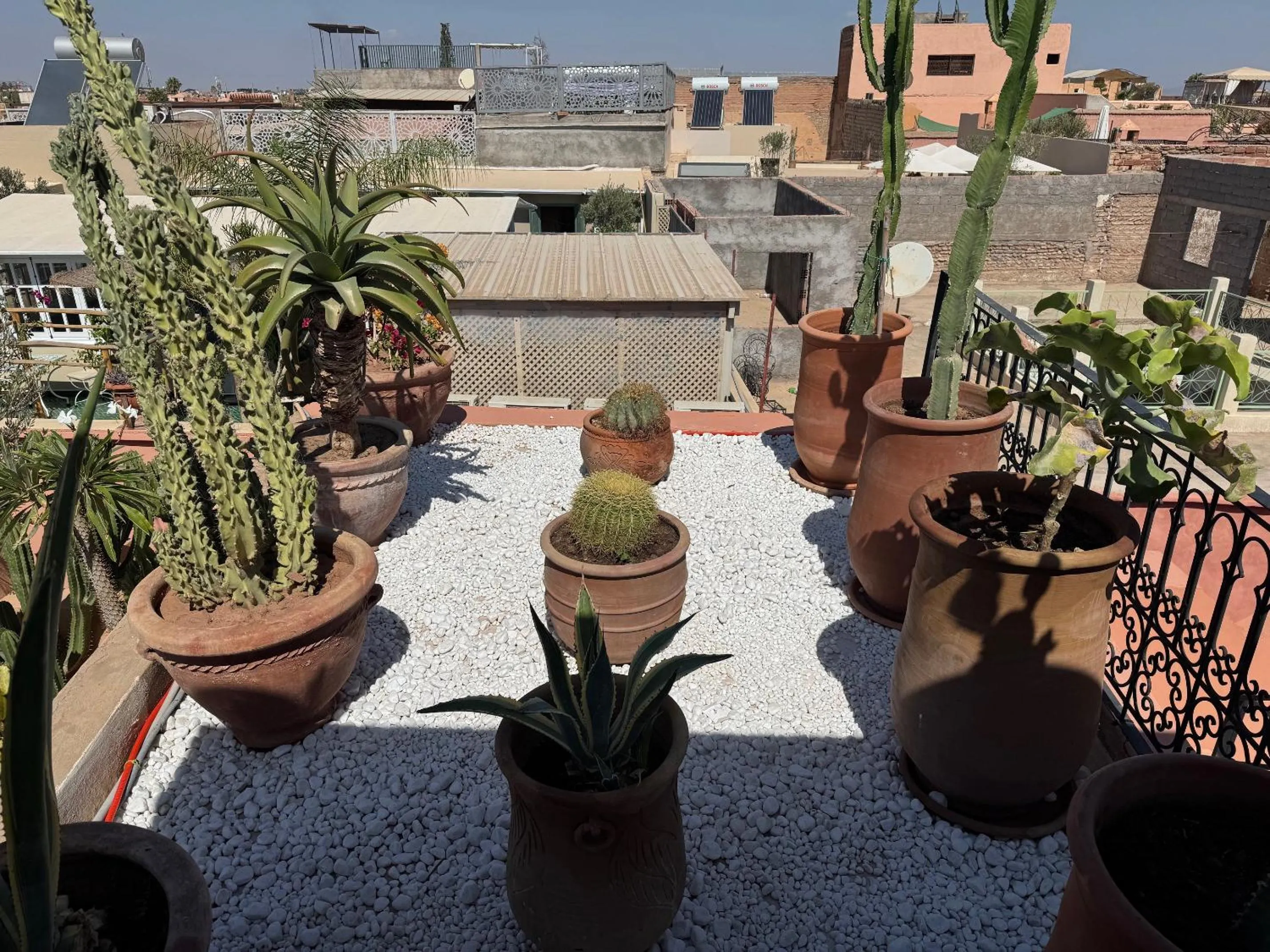 Garden in Riad Atlas Acacia