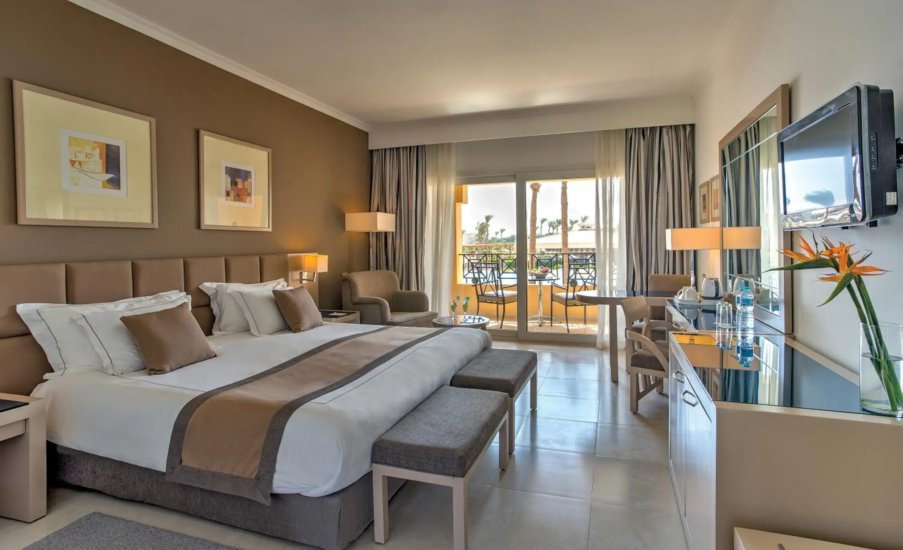Premium Deluxe Room - single occupancy in Cleopatra Luxury Beach Resort Makadi Bay - Adults only Premium Deluxe Room - single occupancy in Cleopatra Luxury Beach Resort Makadi Bay - Adults only